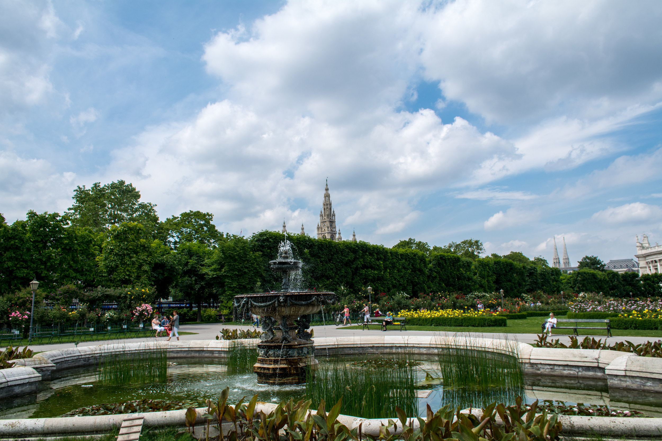 DSC_0676.jpg