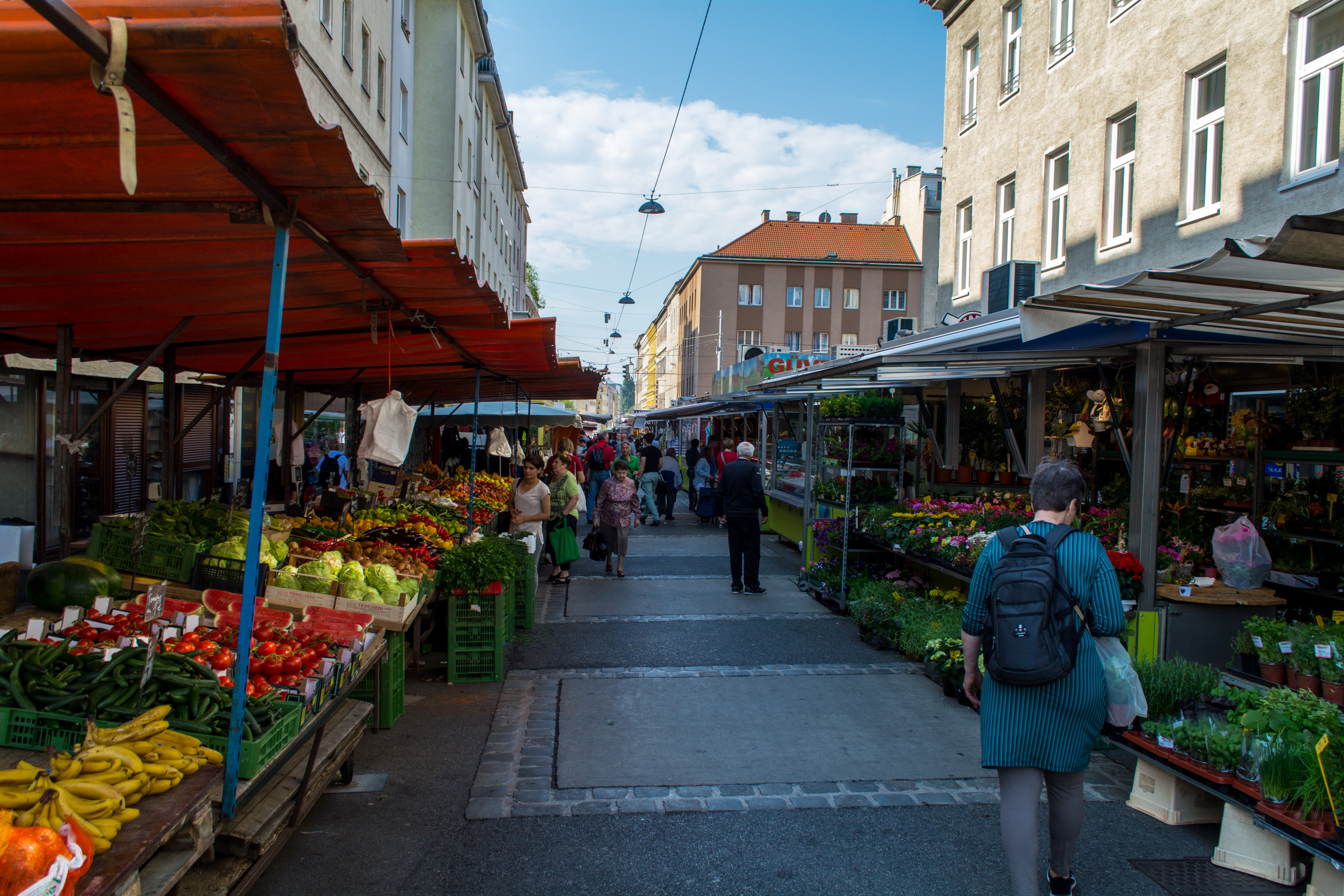 DSC_0750.jpg