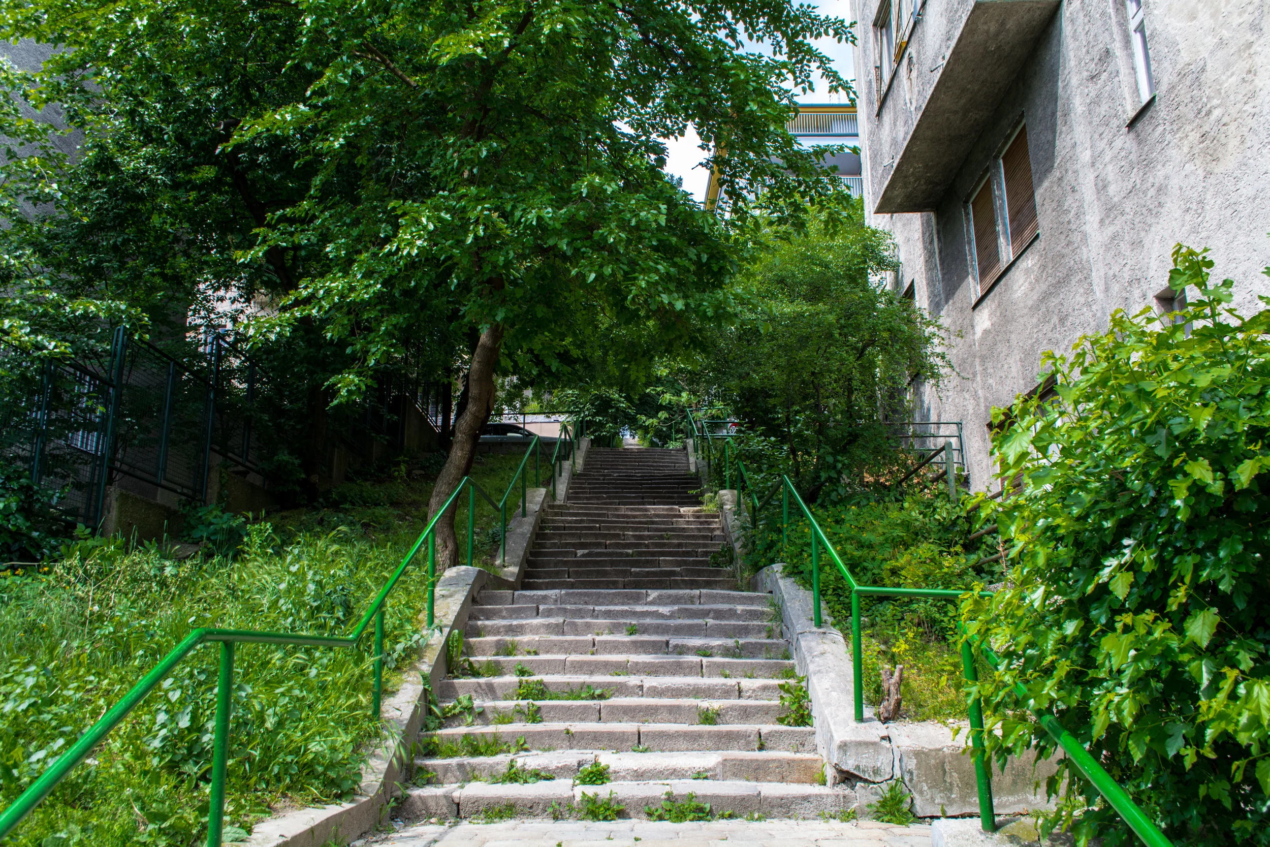 DSC_0031.jpg