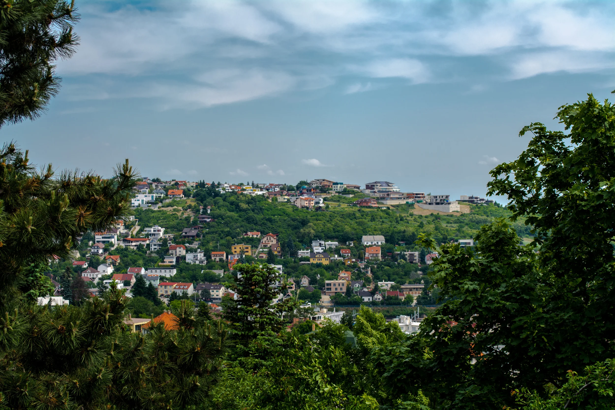 DSC_0051.jpg
