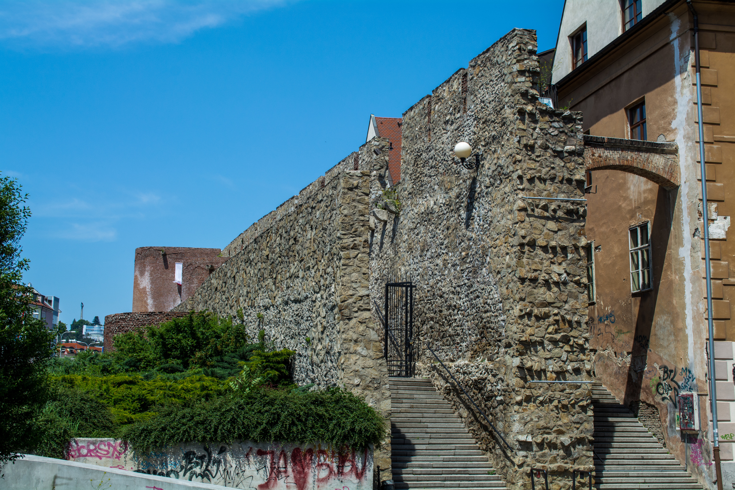 DSC_0241.jpg