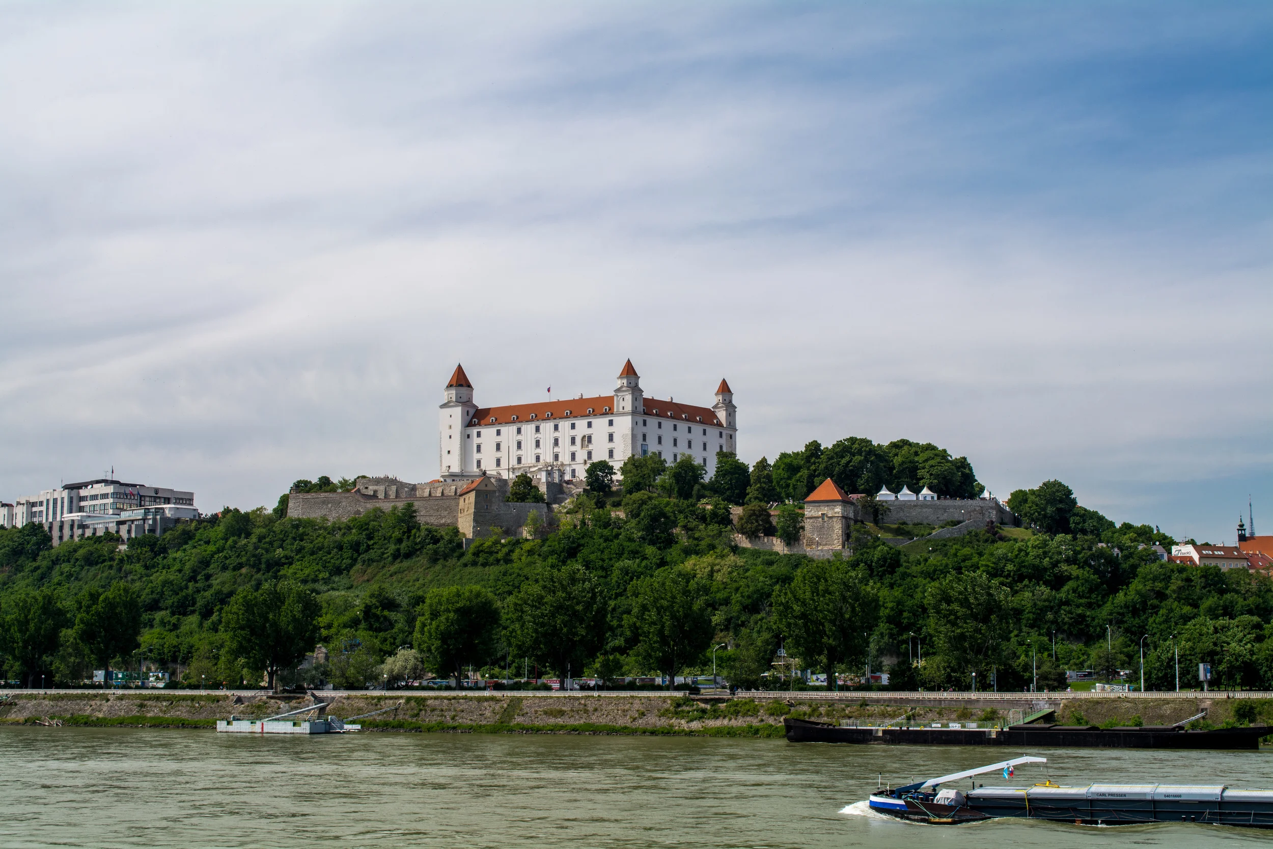 DSC_0445.jpg