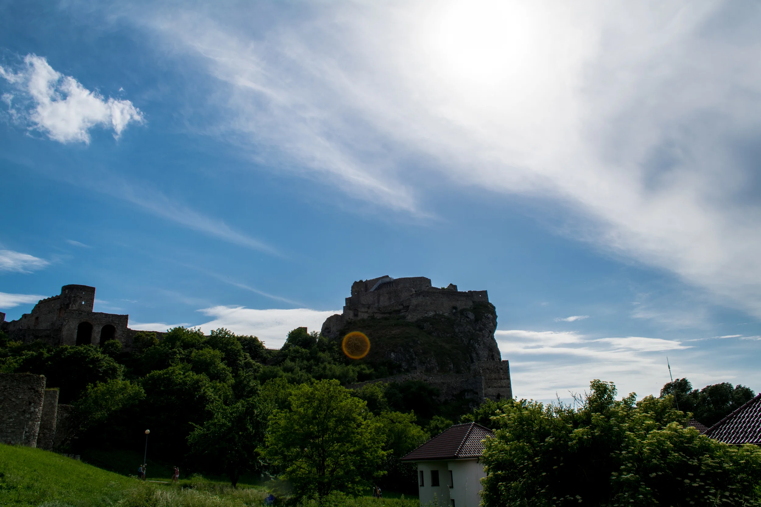 DSC_0045-2.jpg