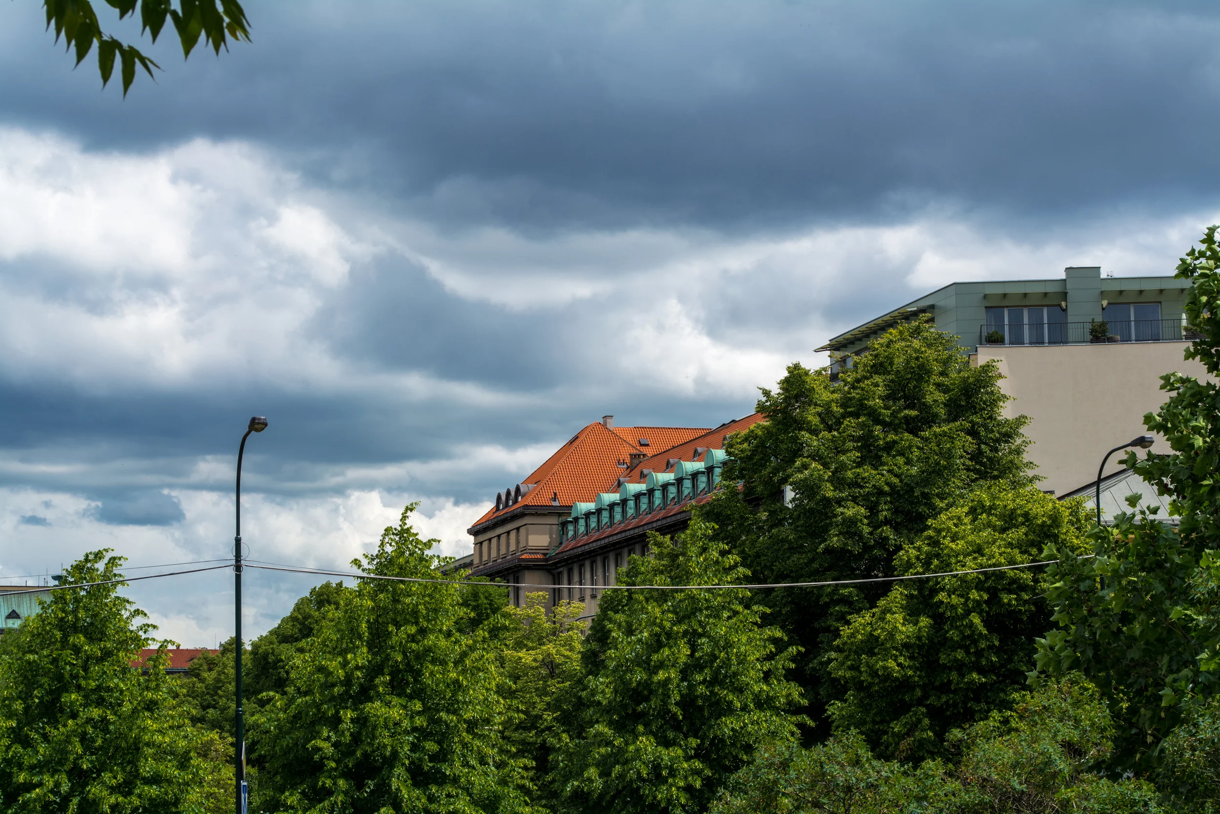 DSC_0201.jpg