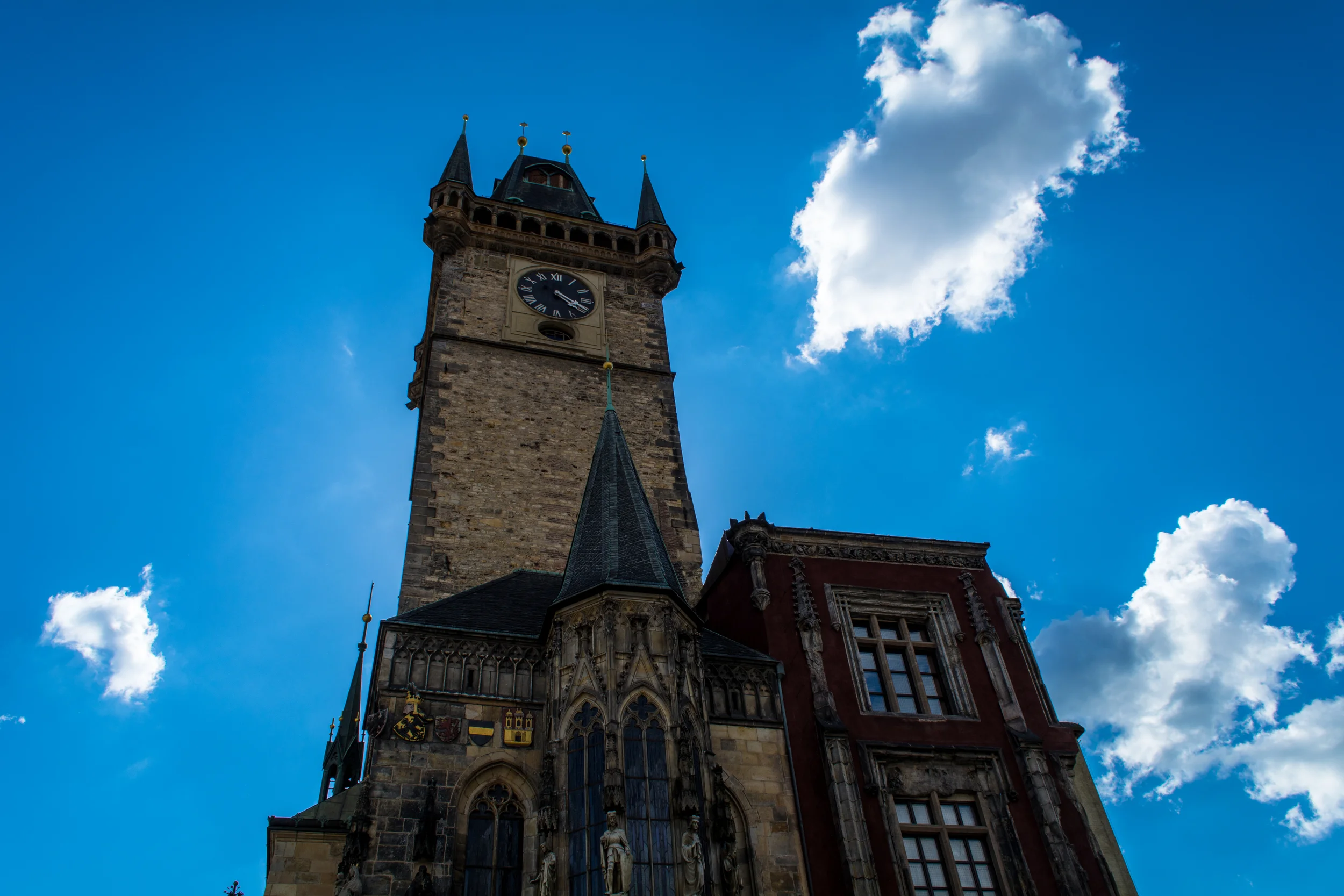 DSC_0243.jpg