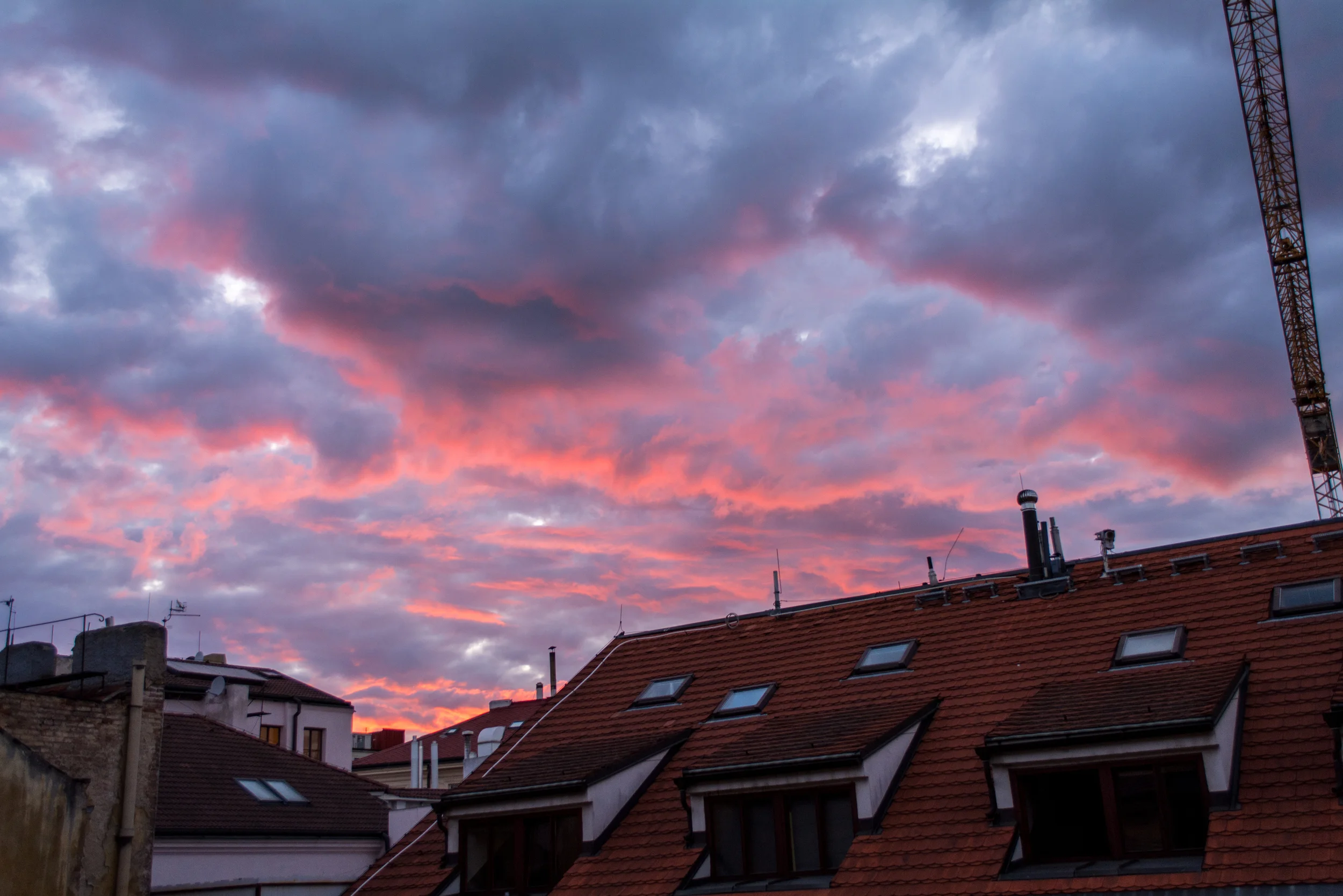 DSC_0462.jpg