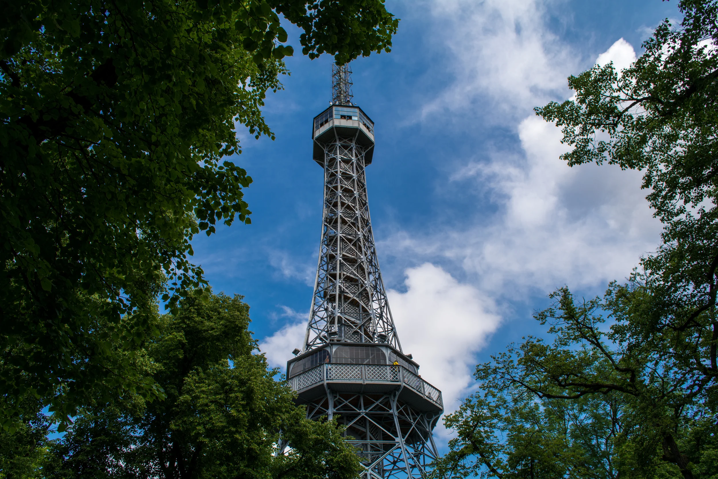 DSC_0478.jpg