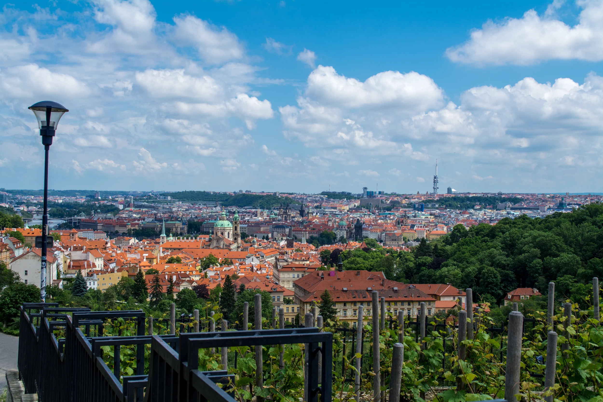 DSC_0562.jpg
