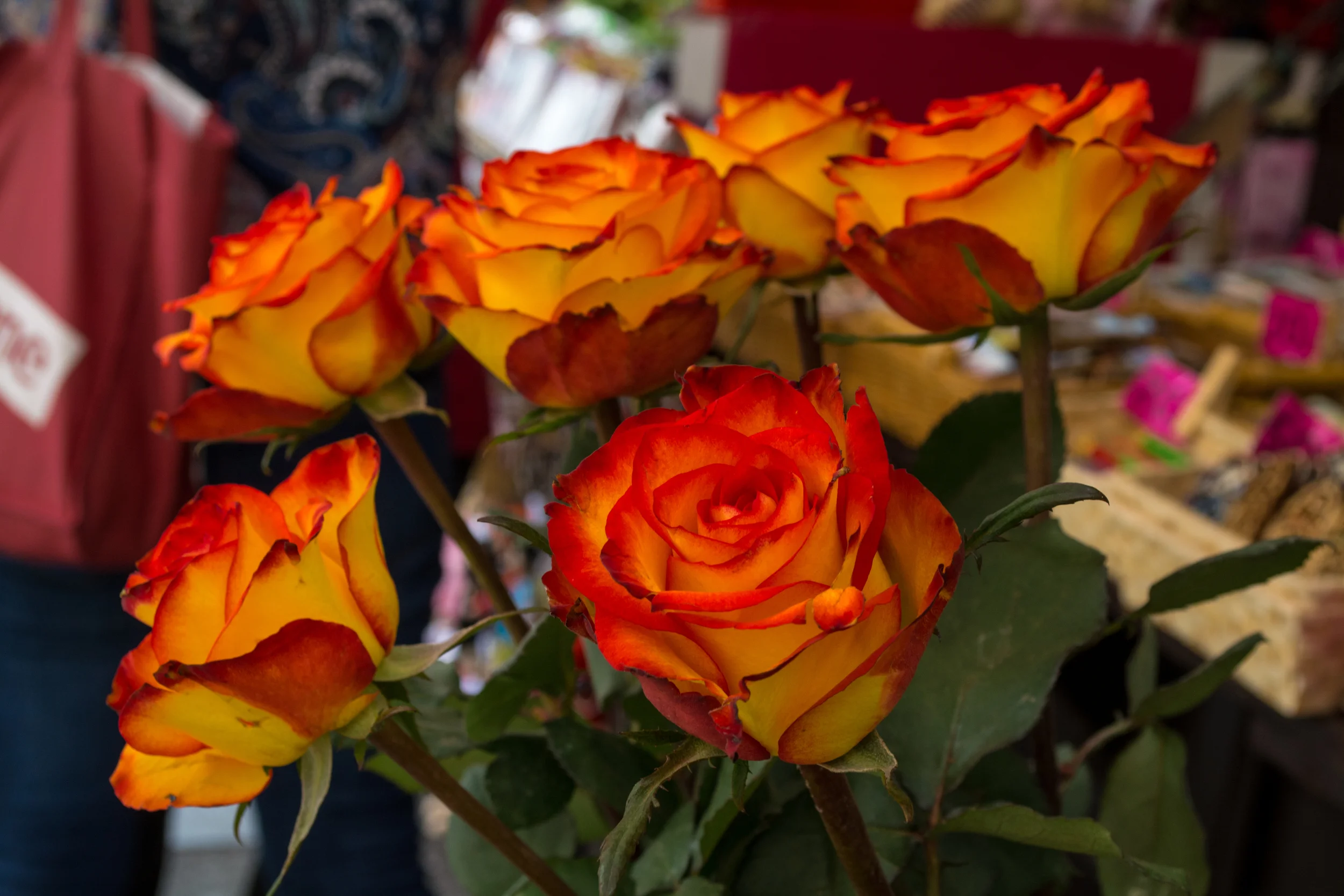 DSC_0775.jpg