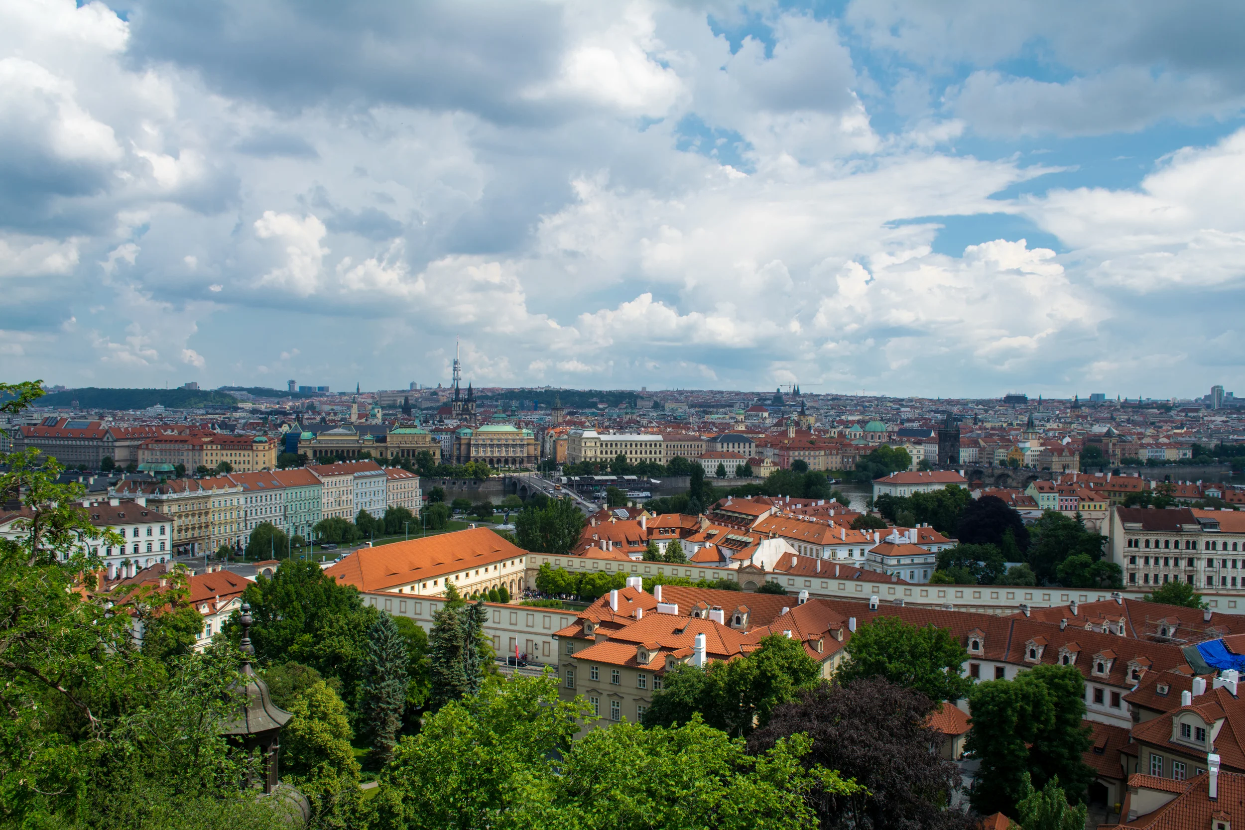 DSC_0864.jpg