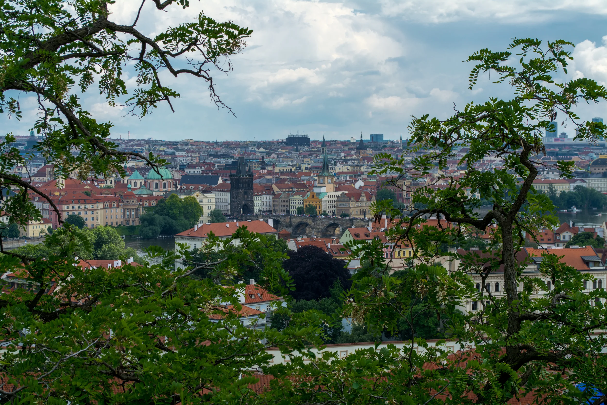 DSC_0867.jpg