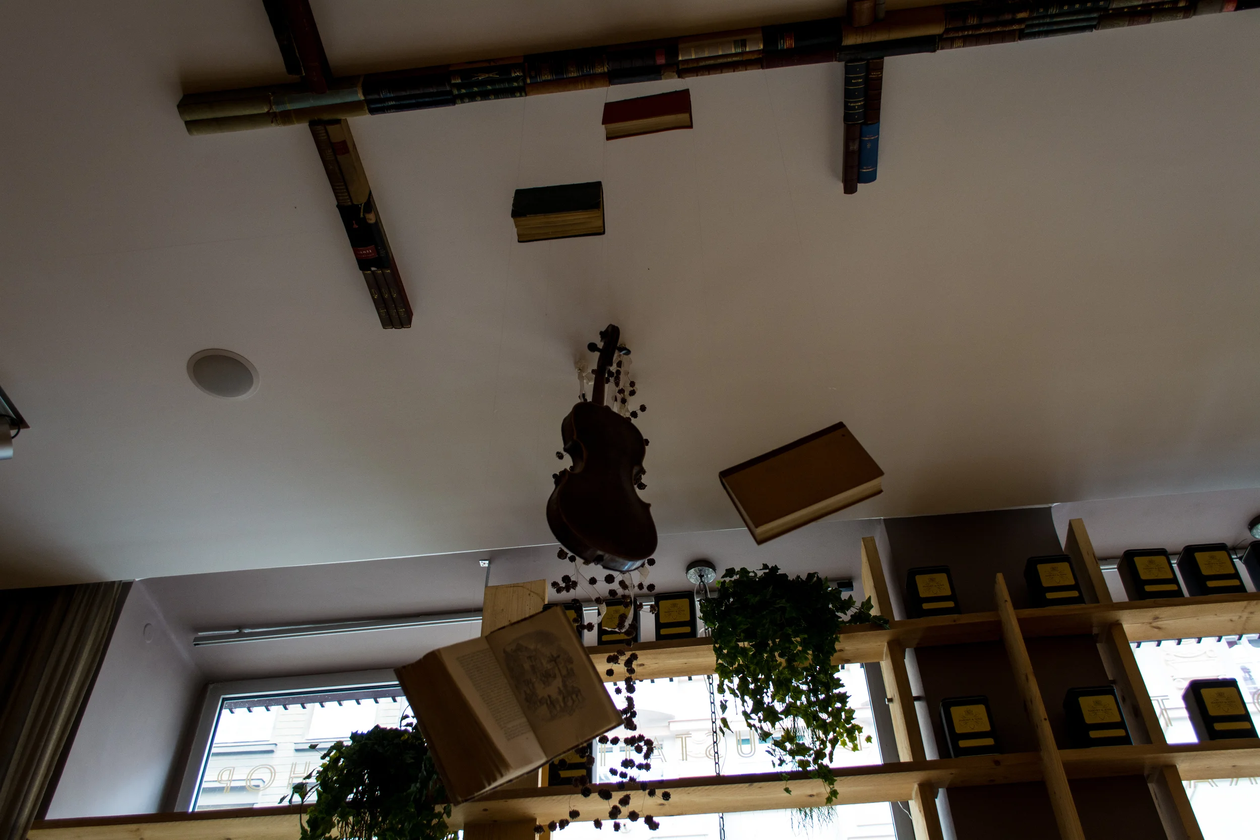 DSC_0886.jpg