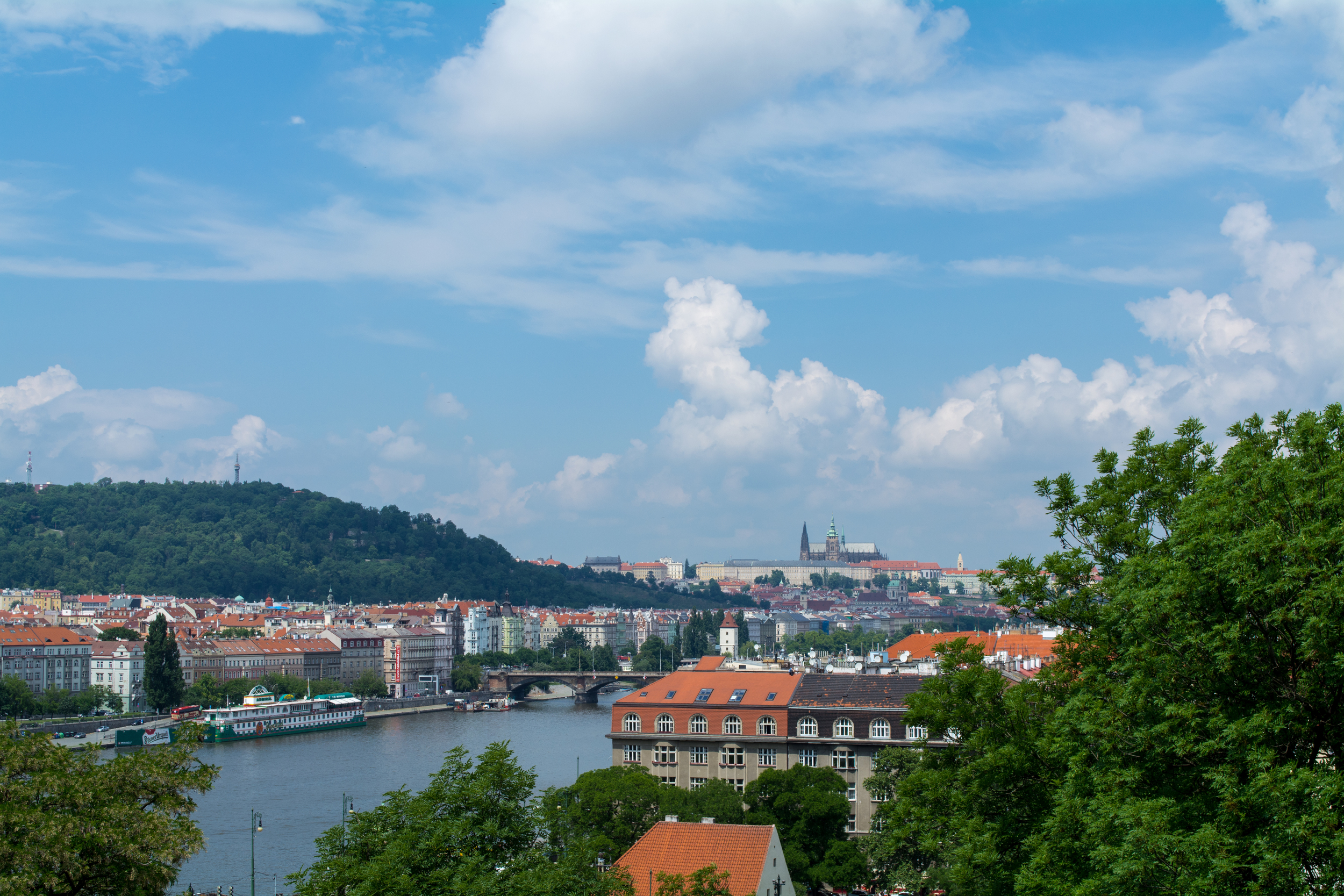 DSC_0922.jpg