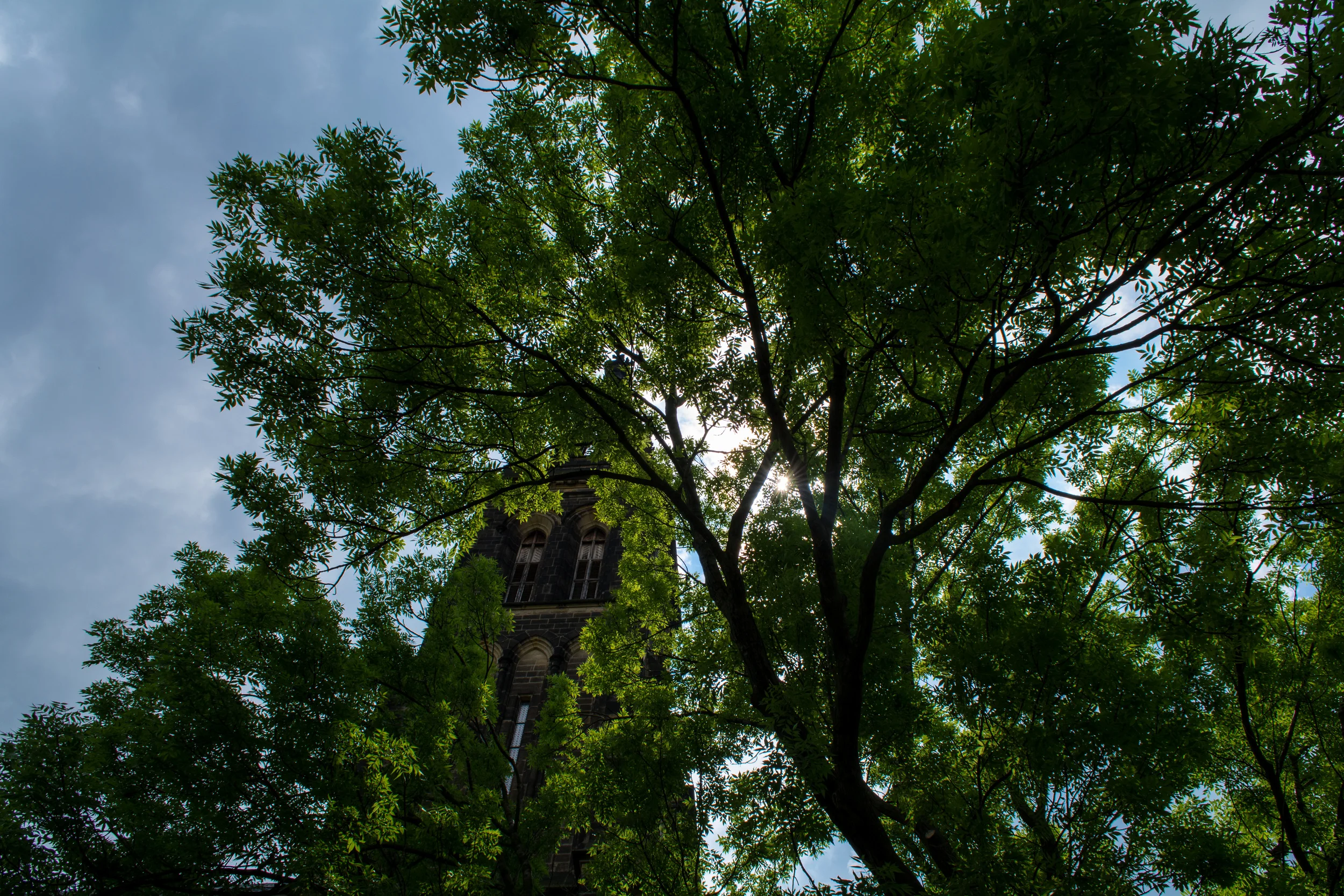 DSC_0949.jpg