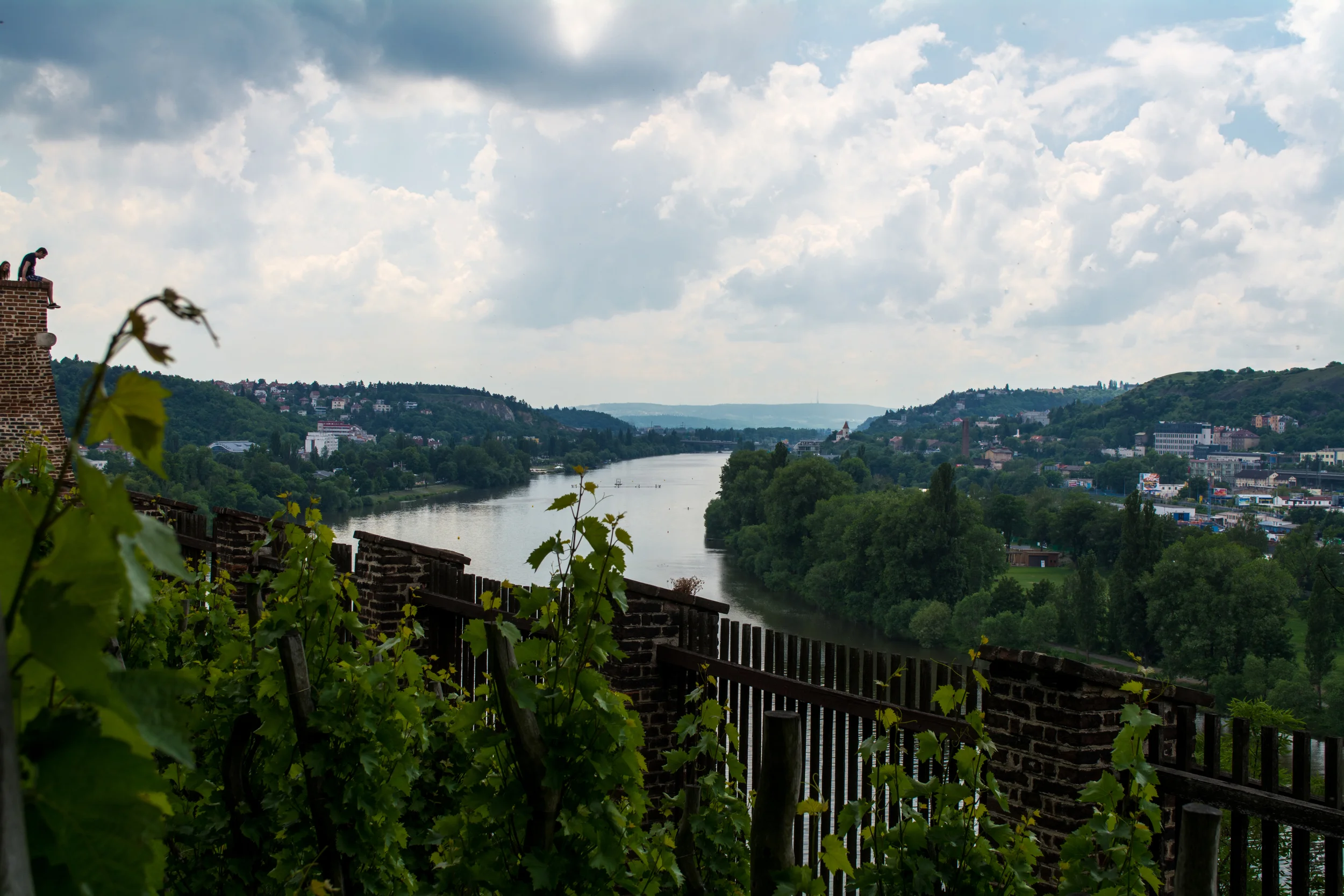 DSC_0960.jpg