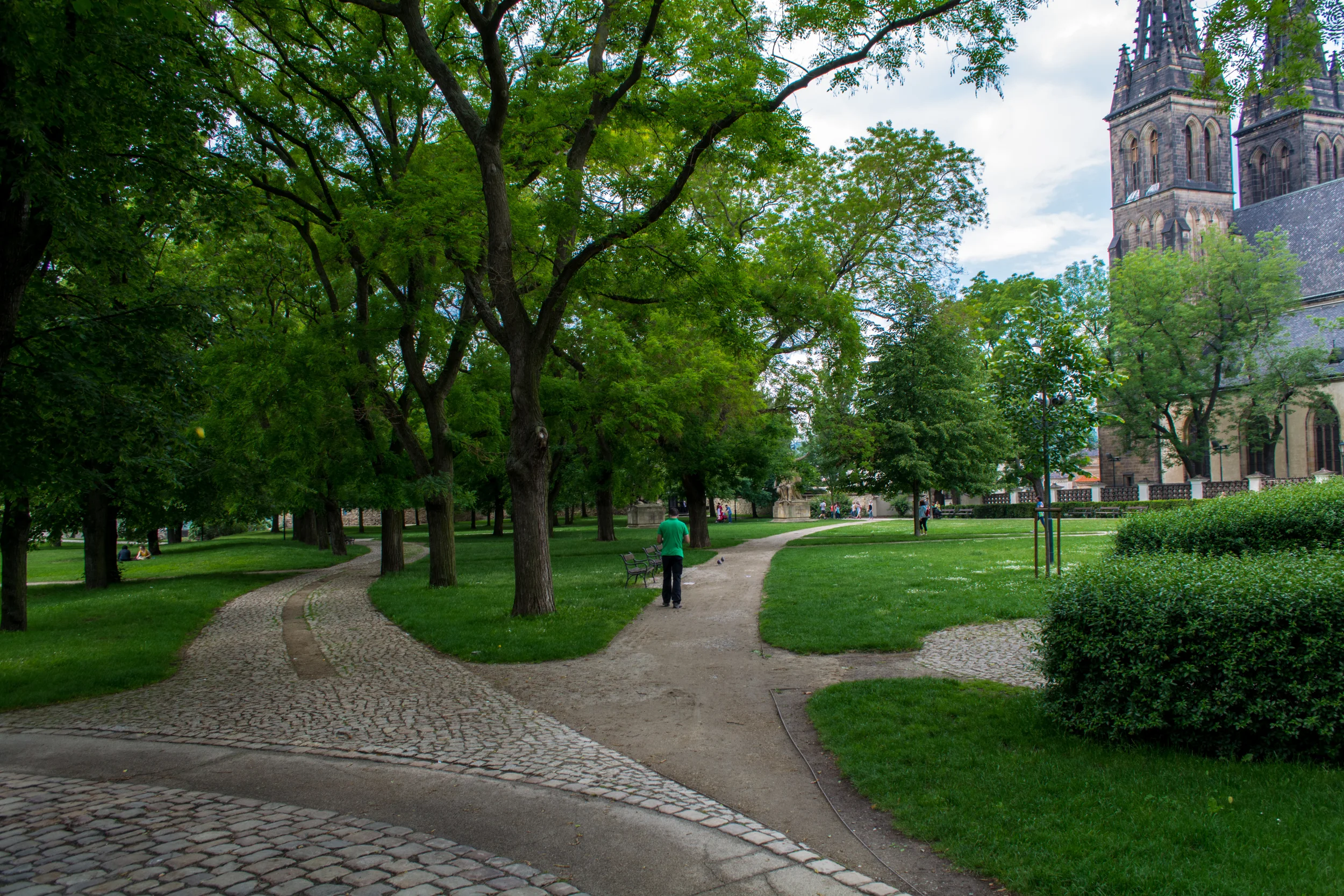 DSC_0972.jpg