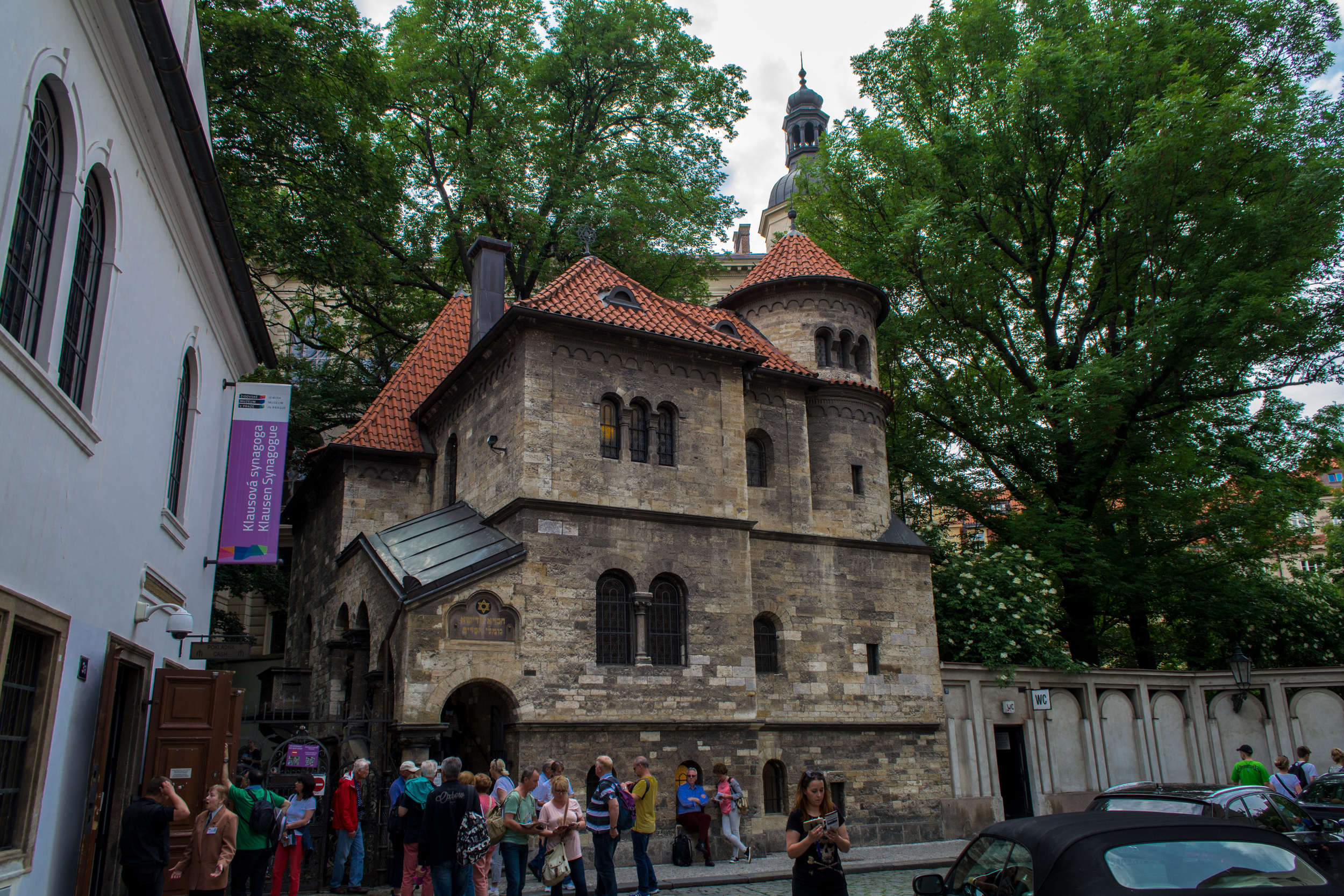 DSC_0982.jpg