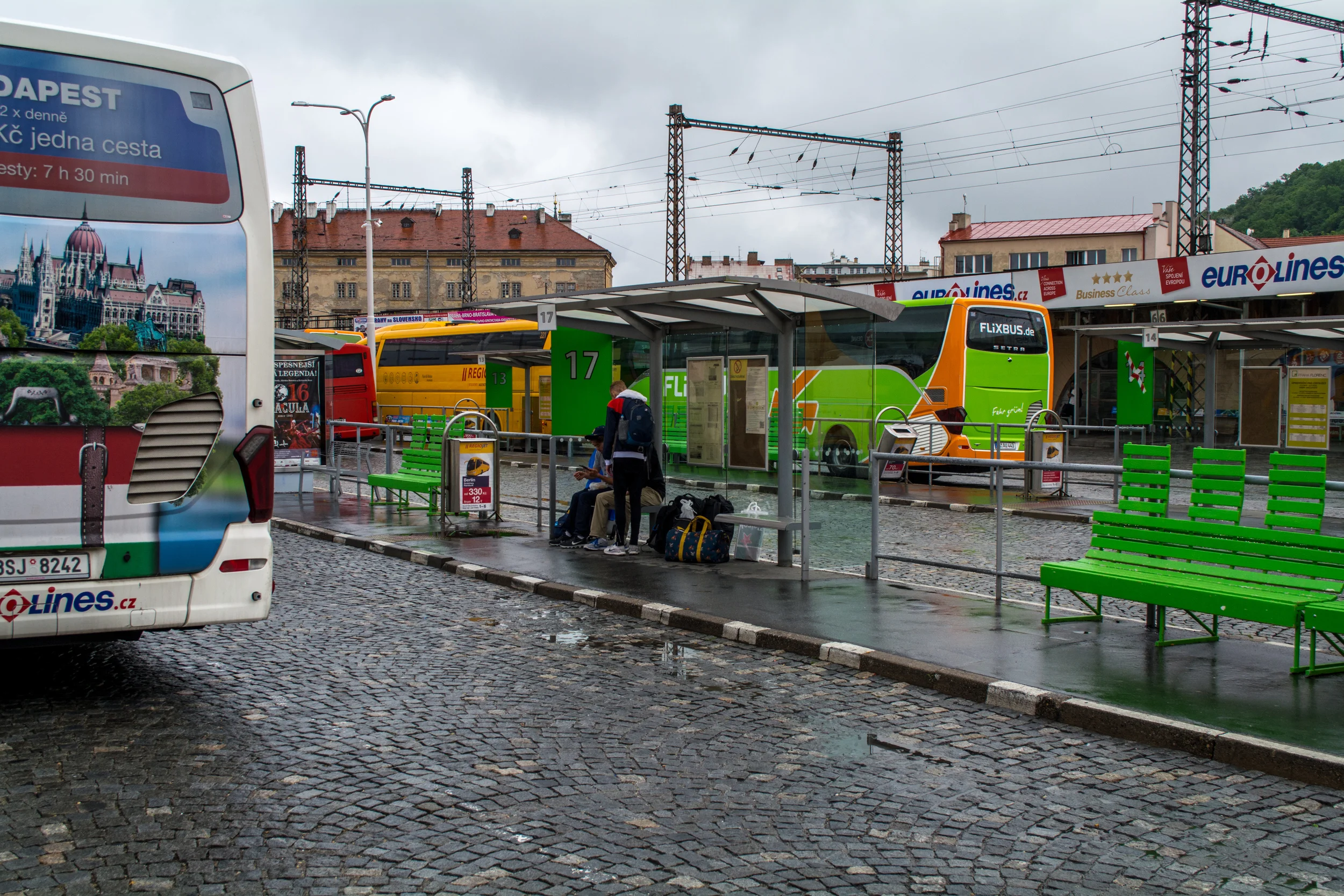 DSC_0989.jpg