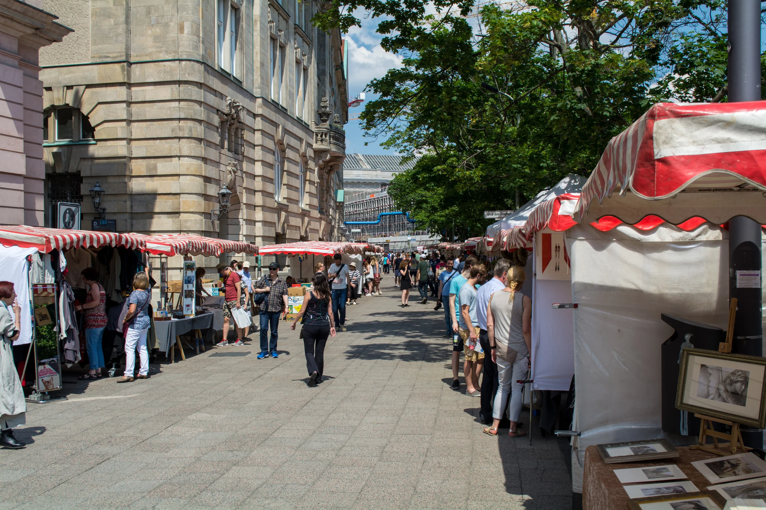 DSC_0096.jpg