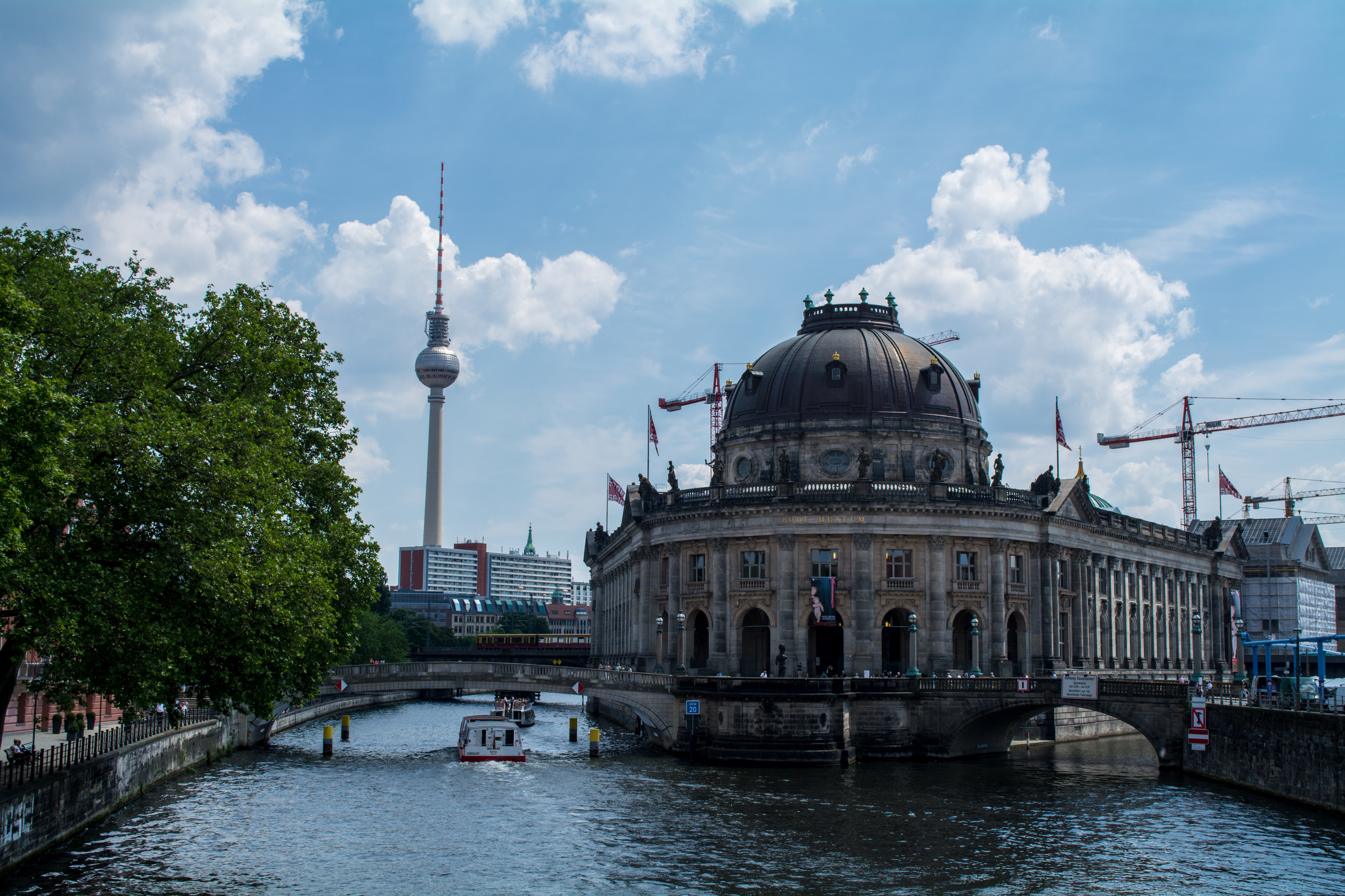 DSC_0117.jpg