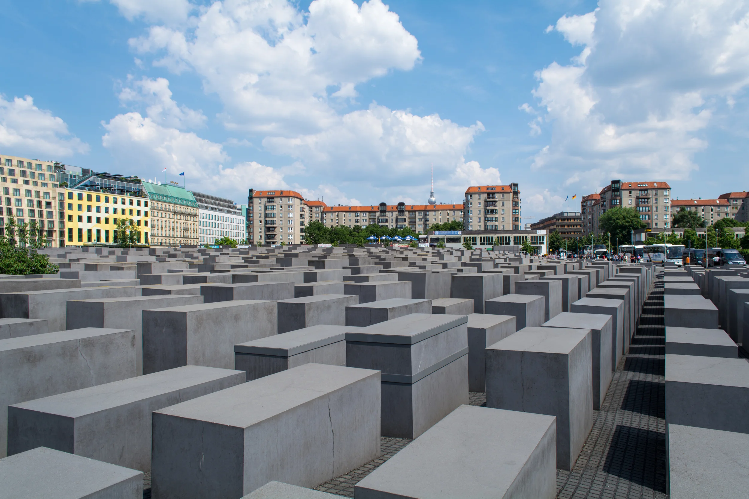 DSC_0195.jpg