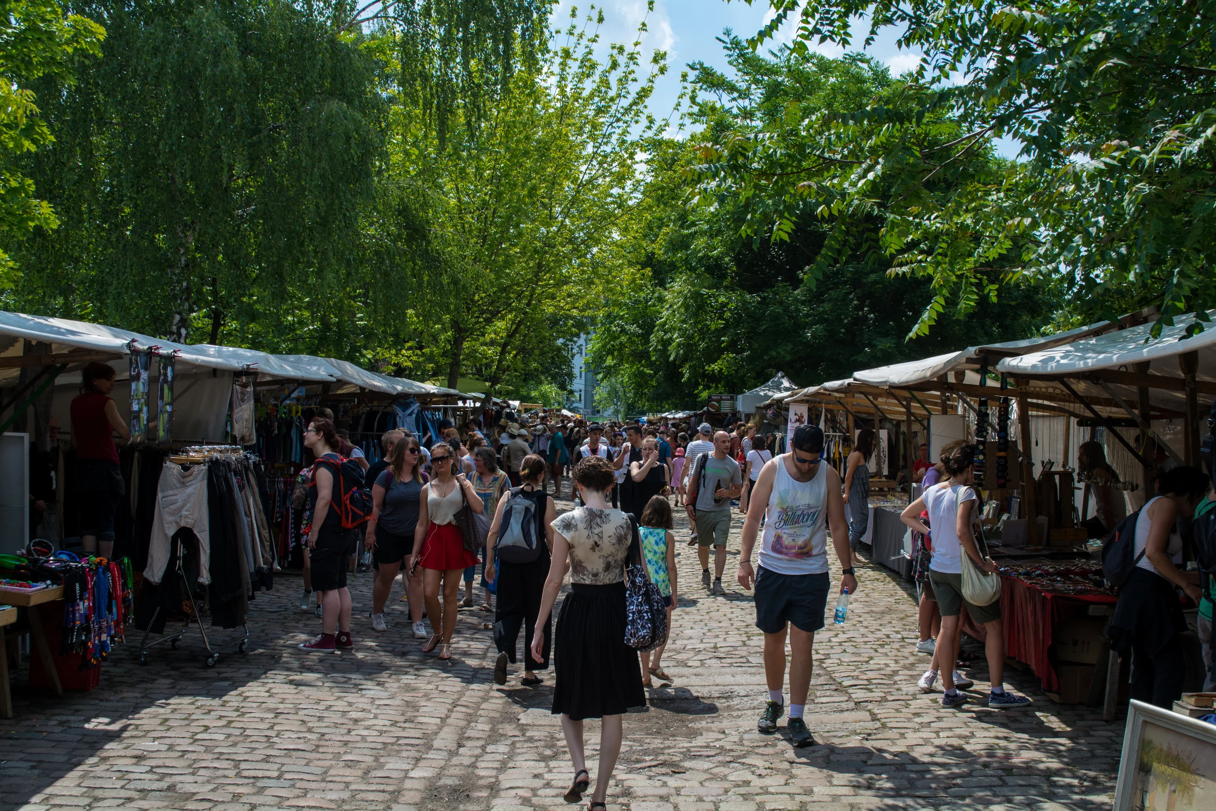 DSC_0353.jpg
