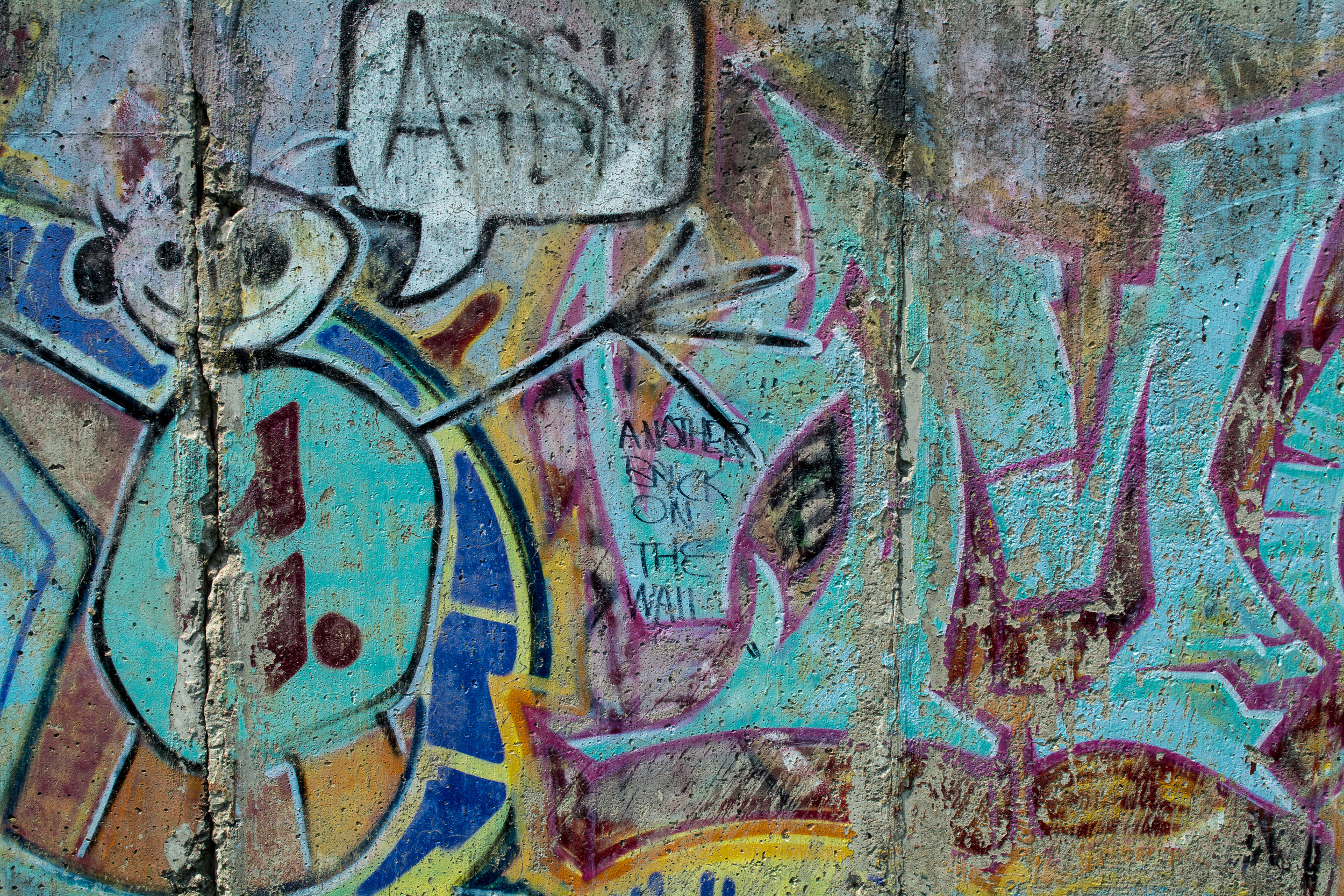 DSC_0384.jpg