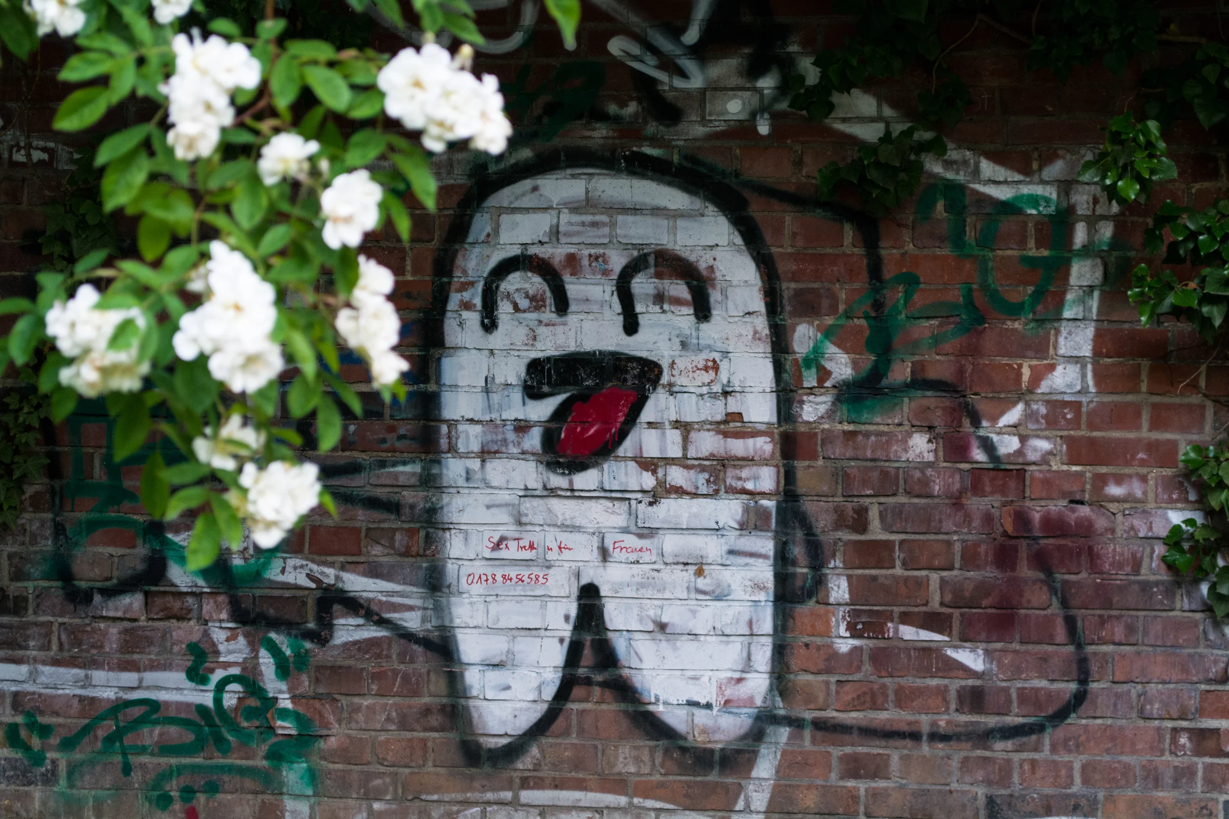 DSC_0456.jpg