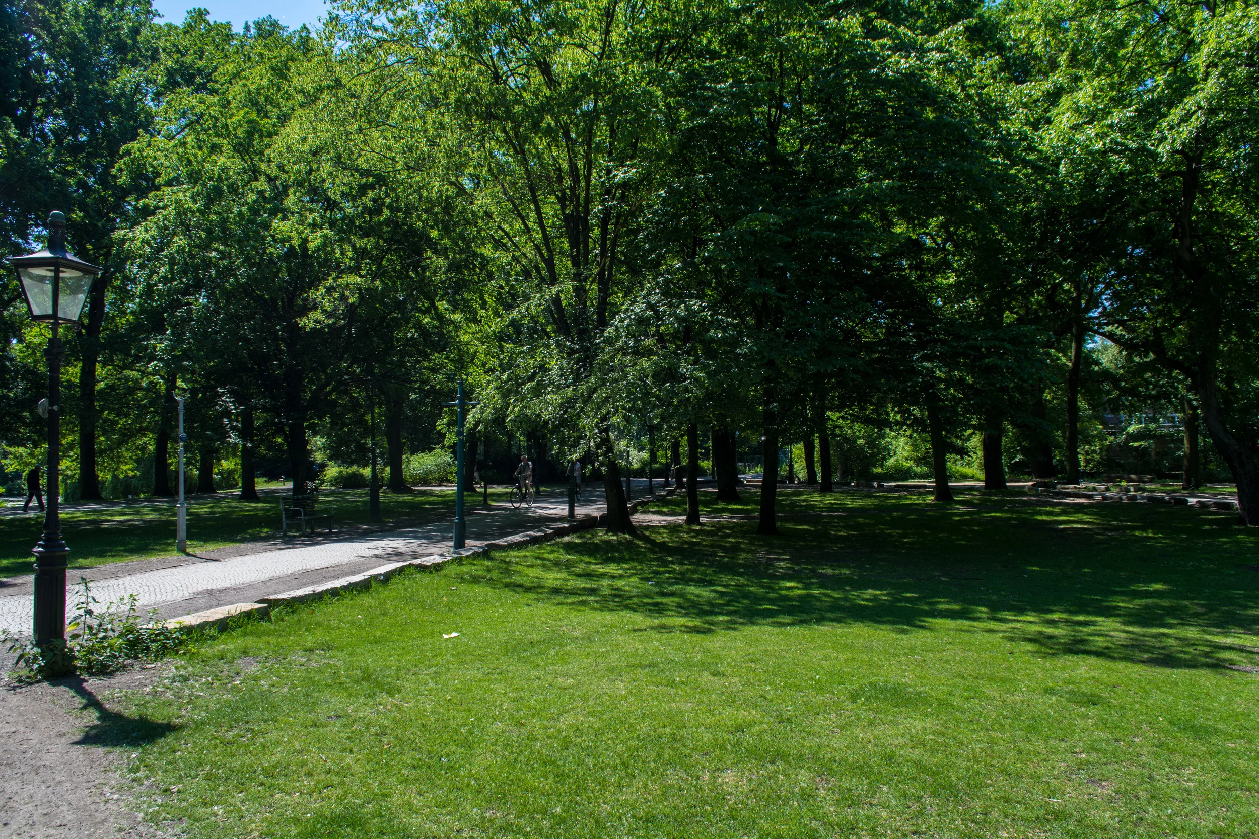 DSC_0471.jpg