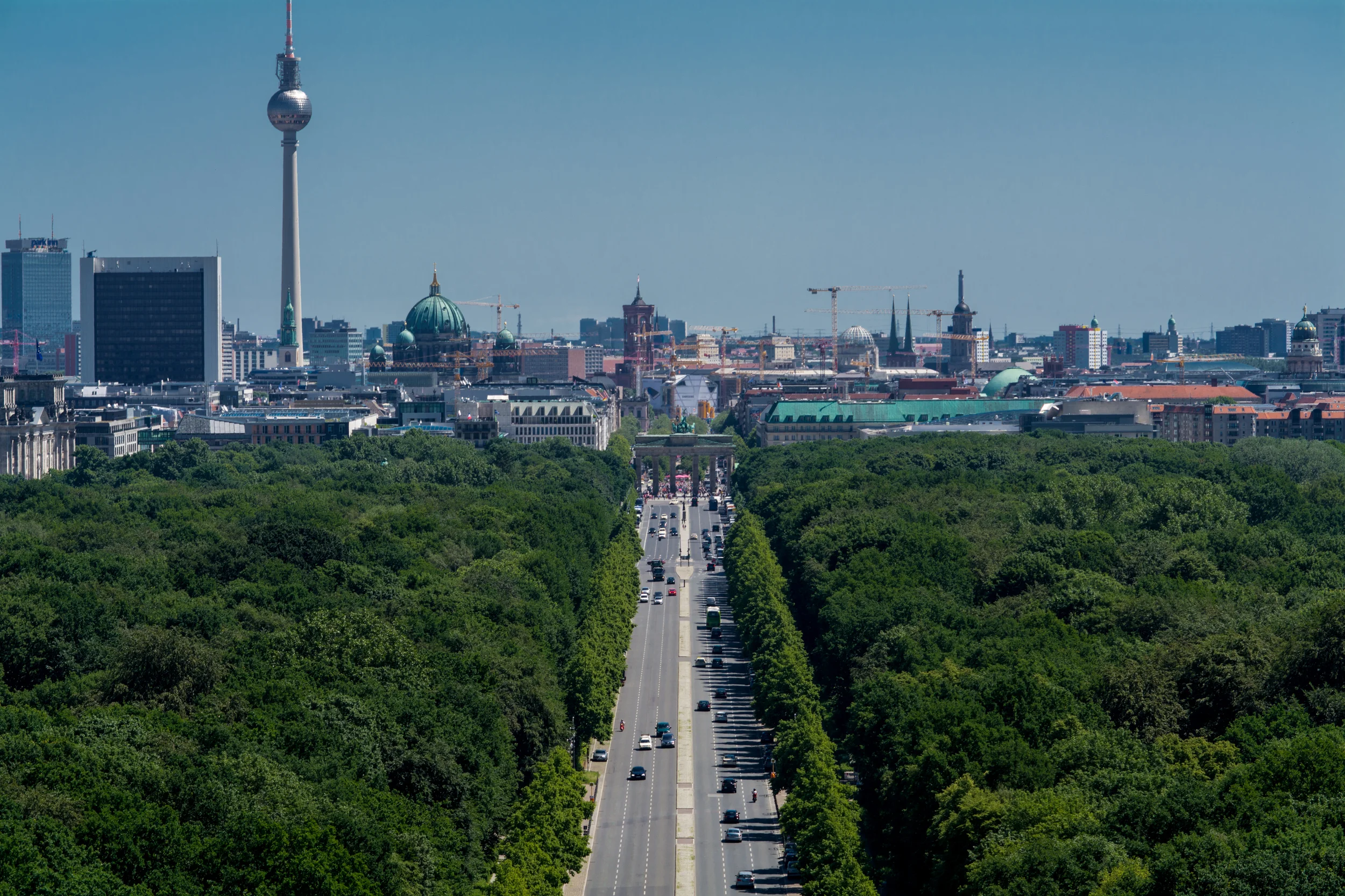 DSC_0528.jpg