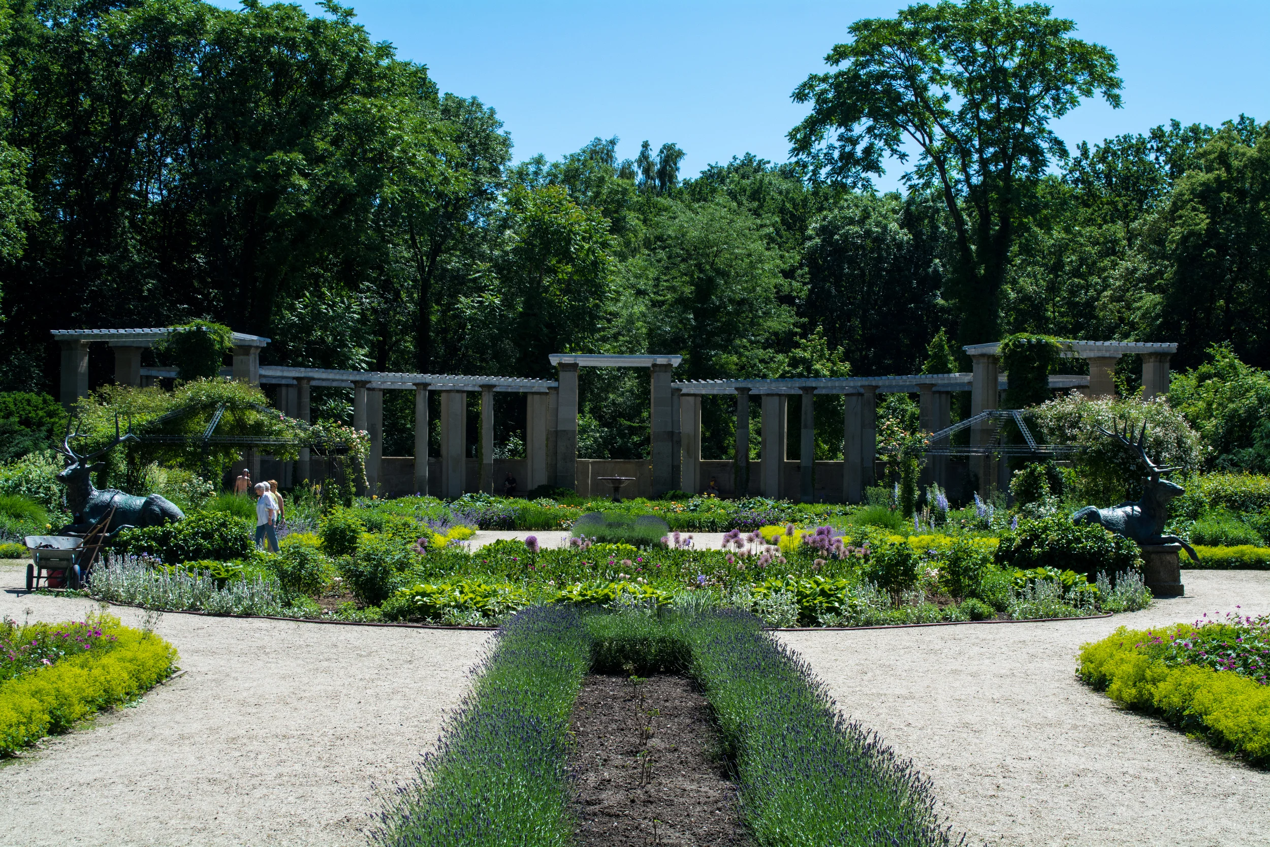 DSC_0553.jpg