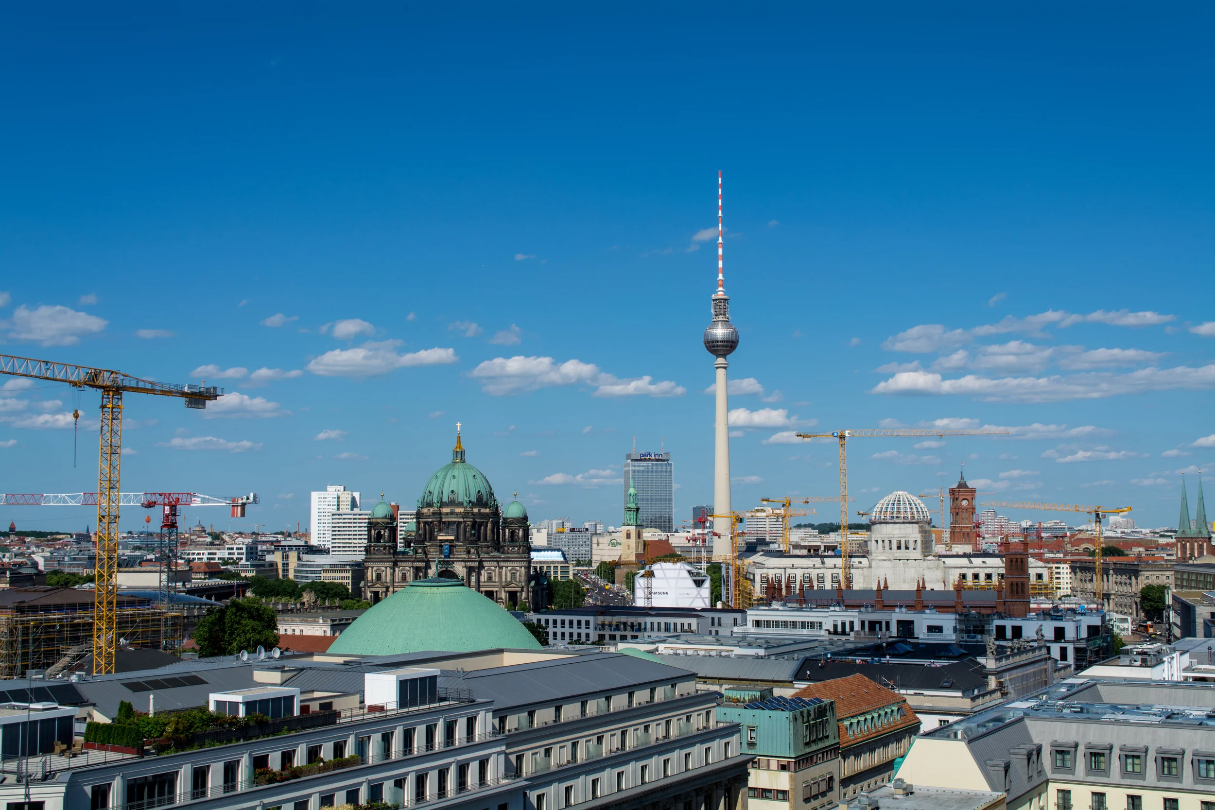 DSC_0681.jpg