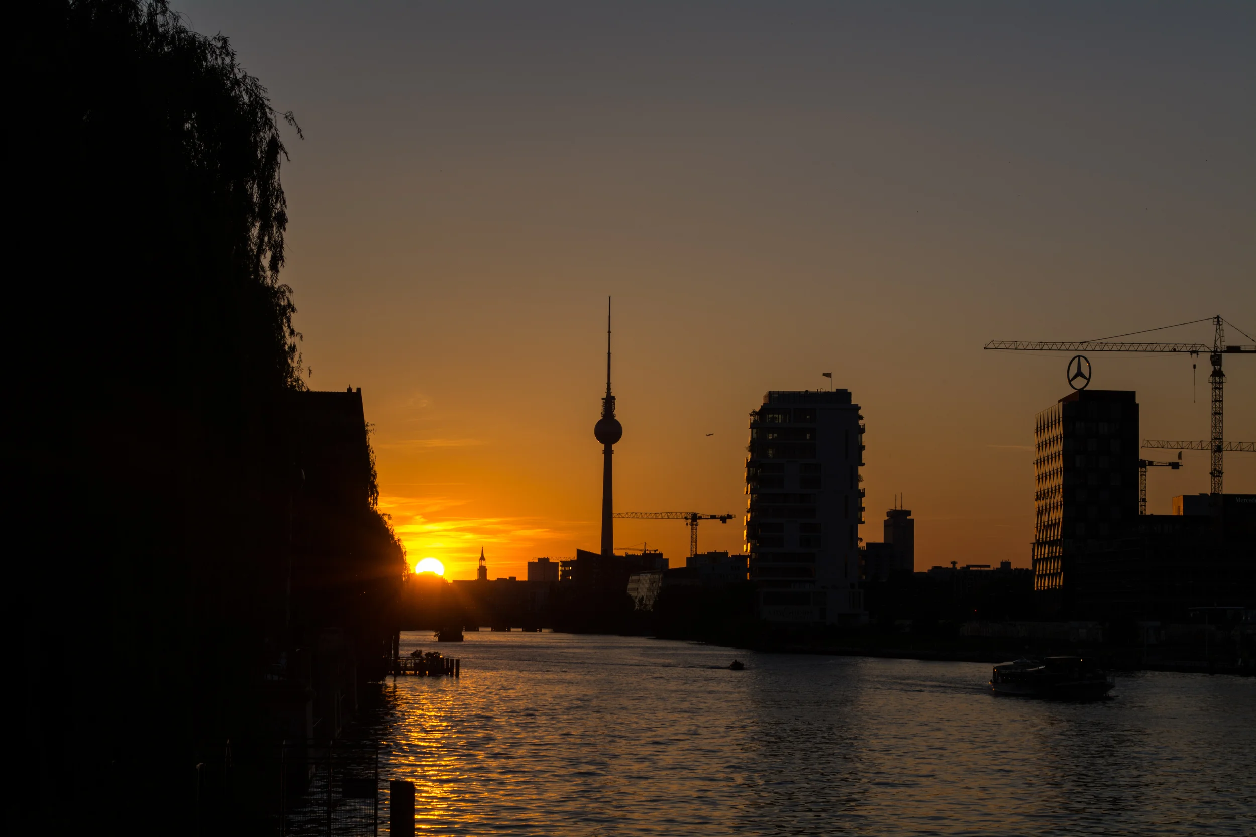 DSC_0701.jpg