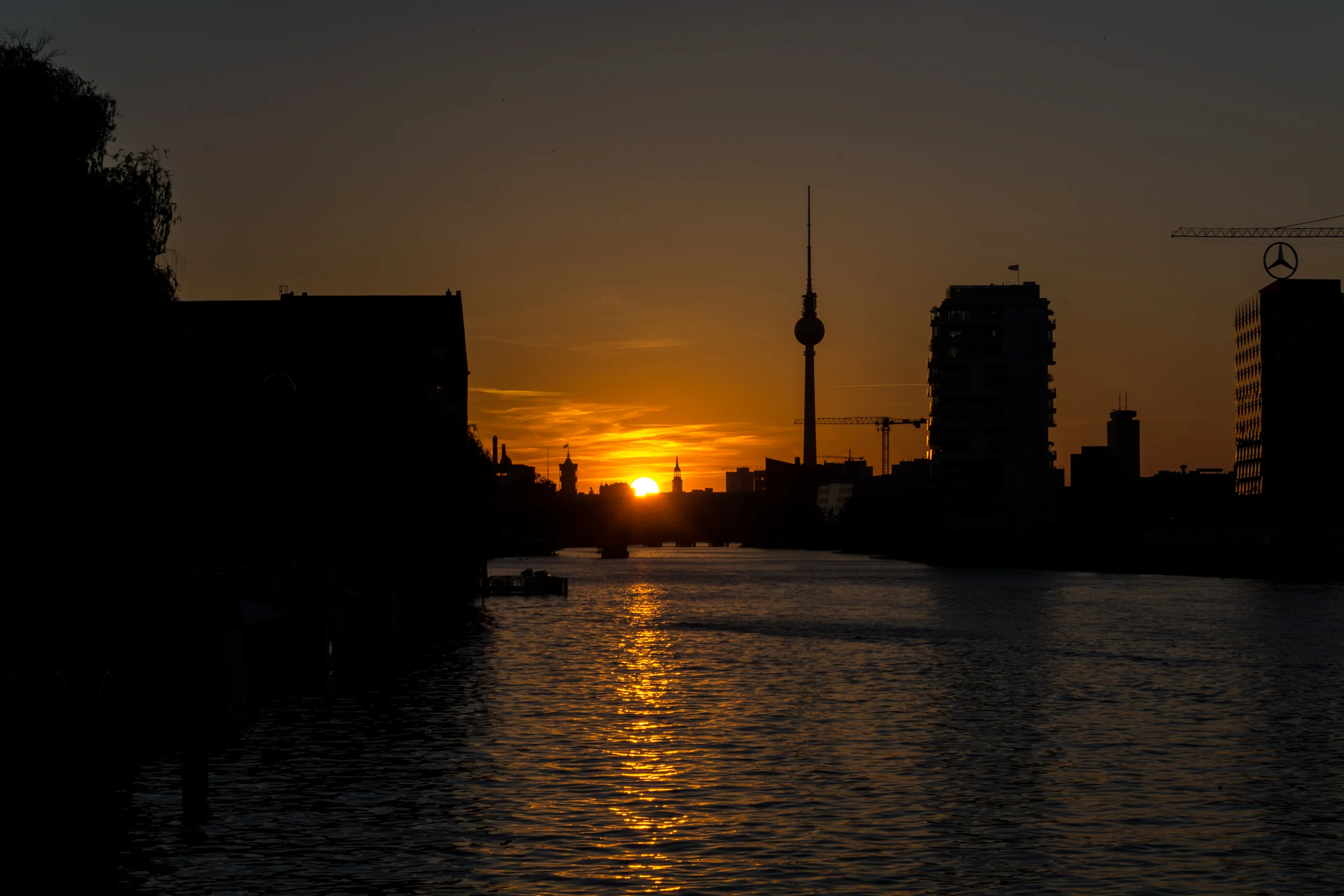 DSC_0708.jpg