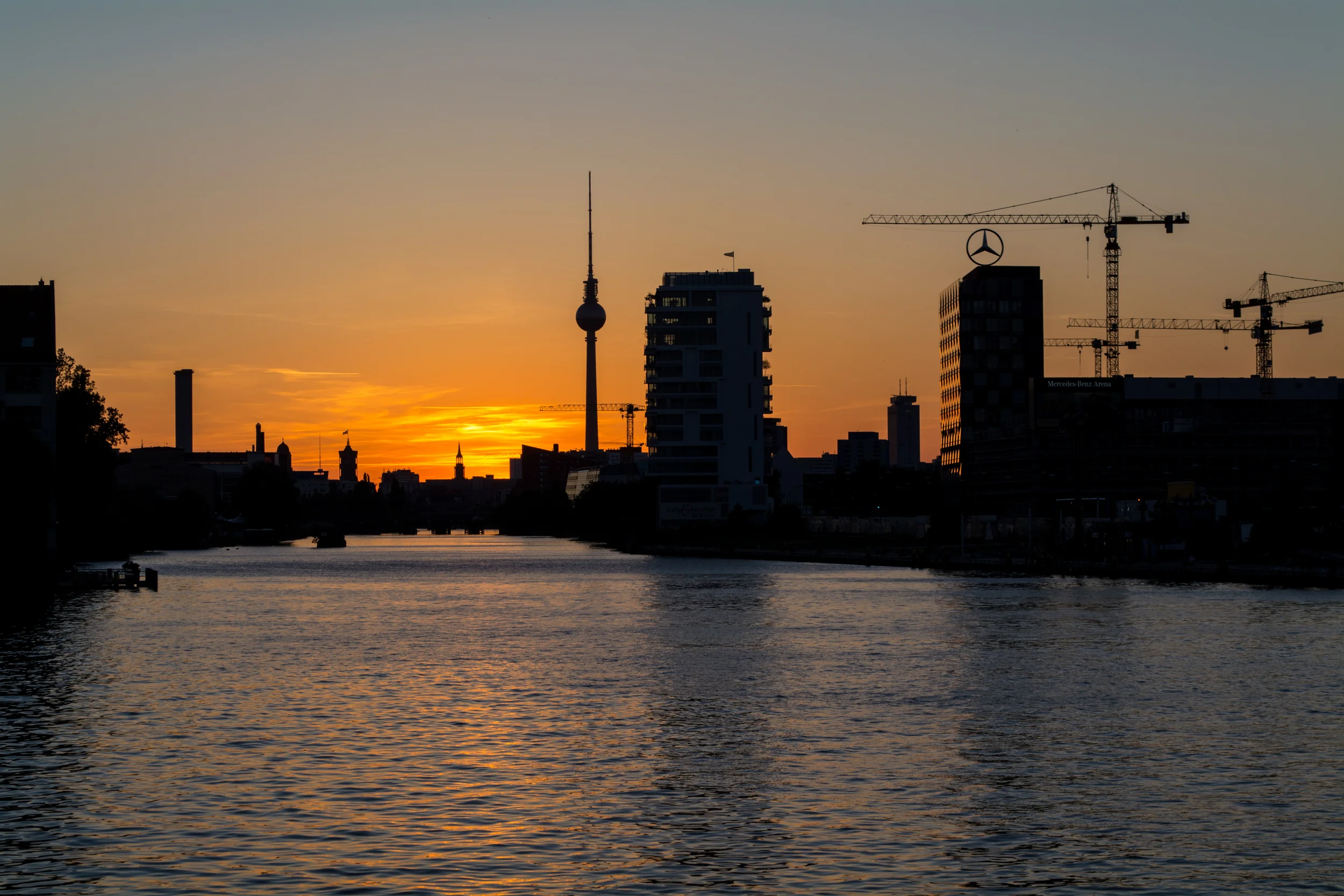 DSC_0726.jpg