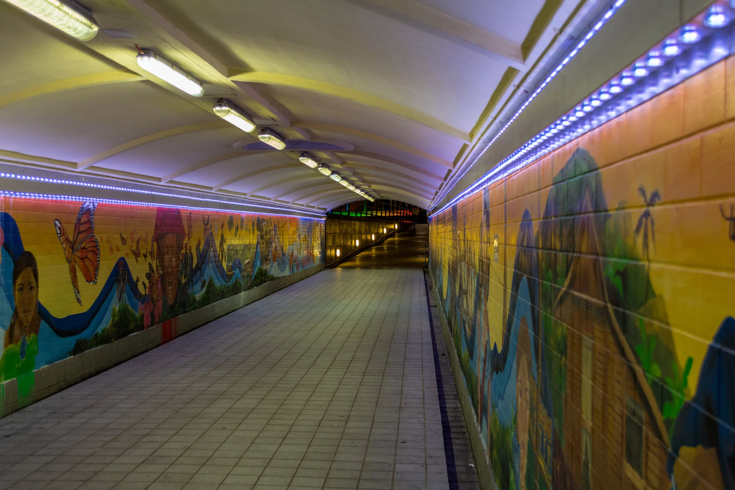DSC_0574.jpg