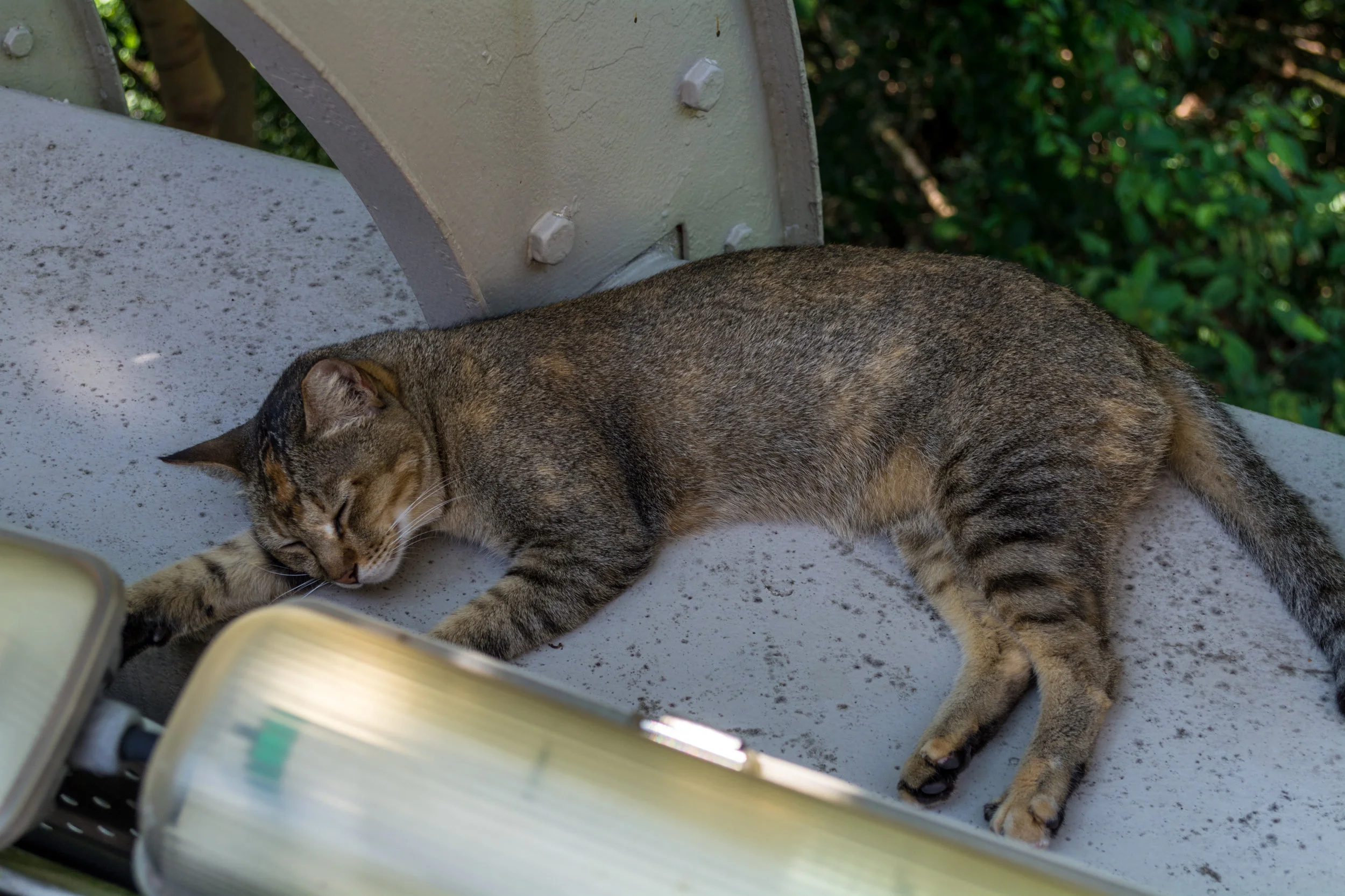 DSC_0711.jpg