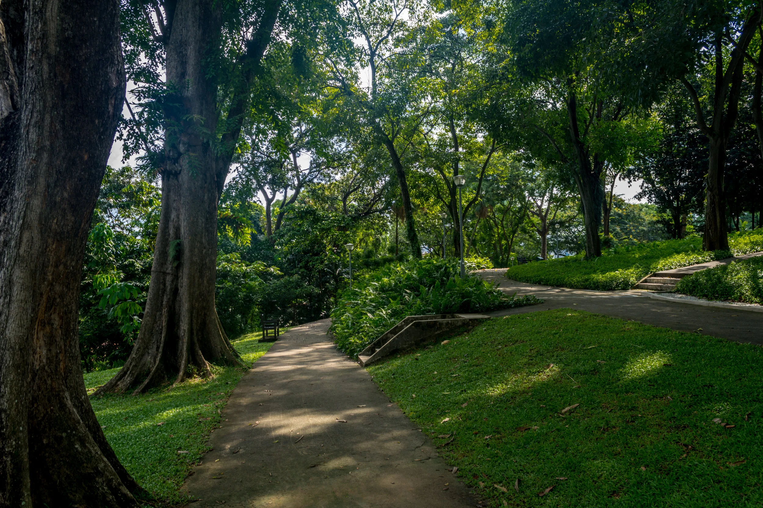 DSC_0725.jpg