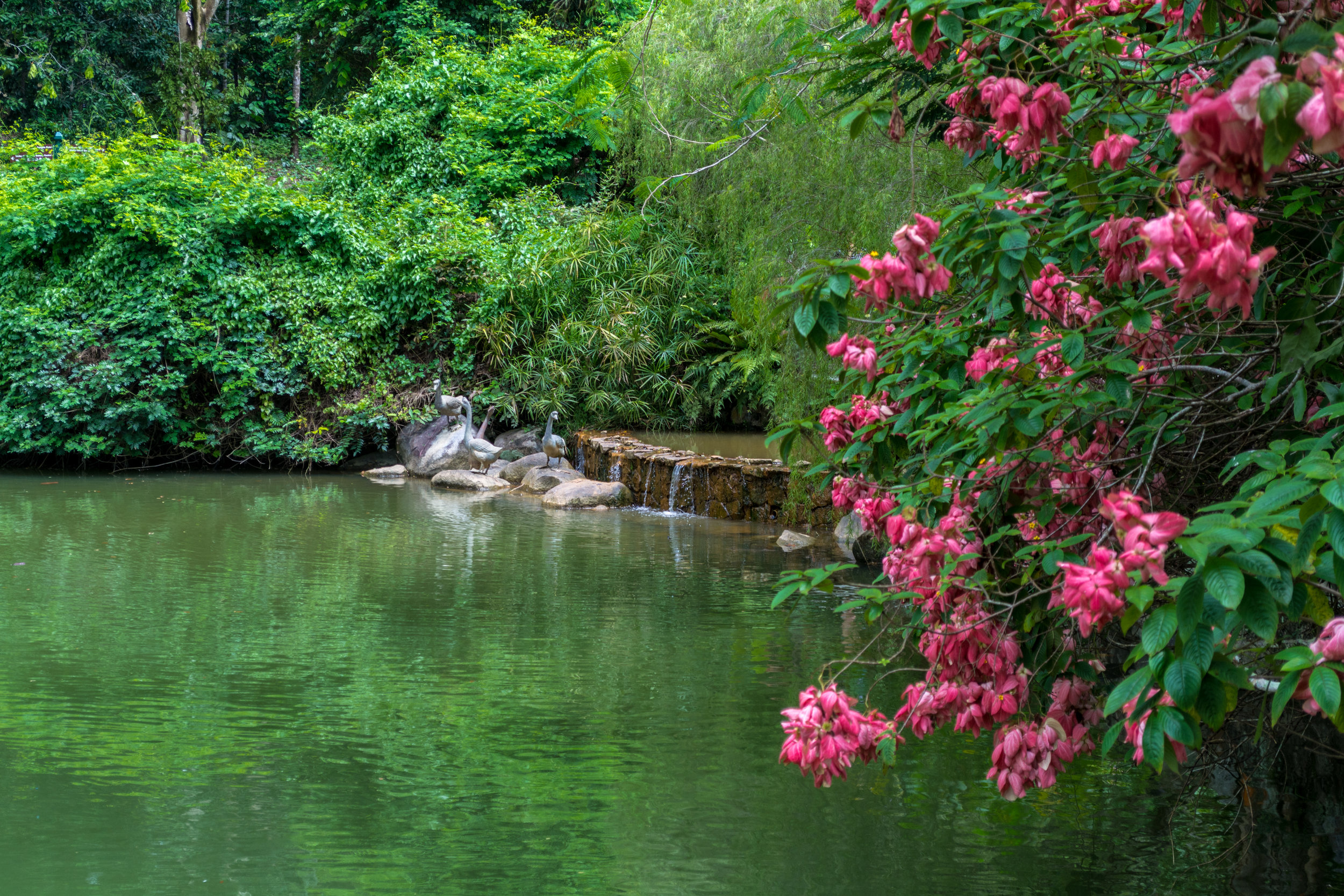 DSC_0796.jpg