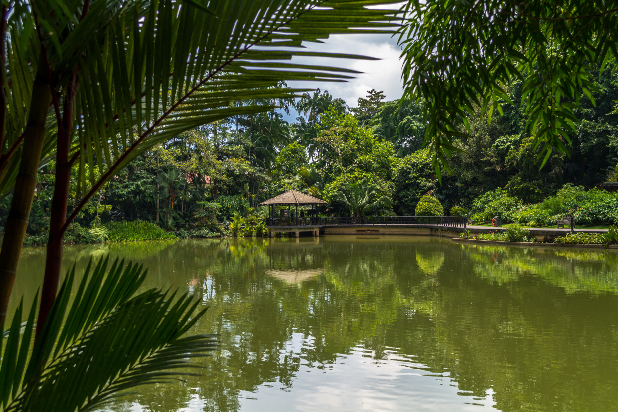 DSC_0810.jpg
