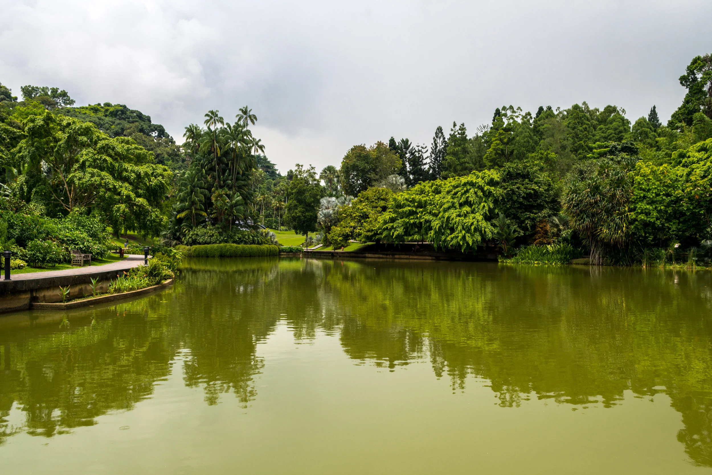 DSC_0814.jpg