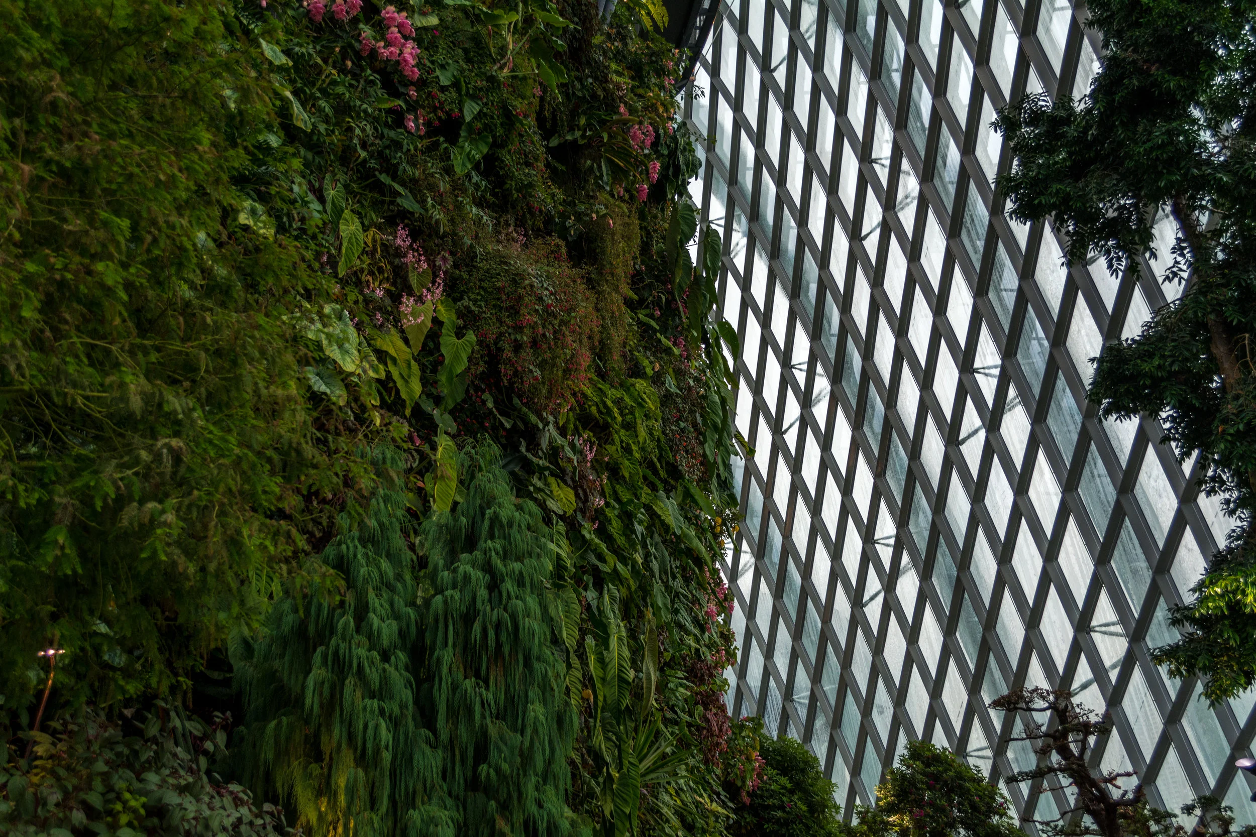 DSC_0834.jpg