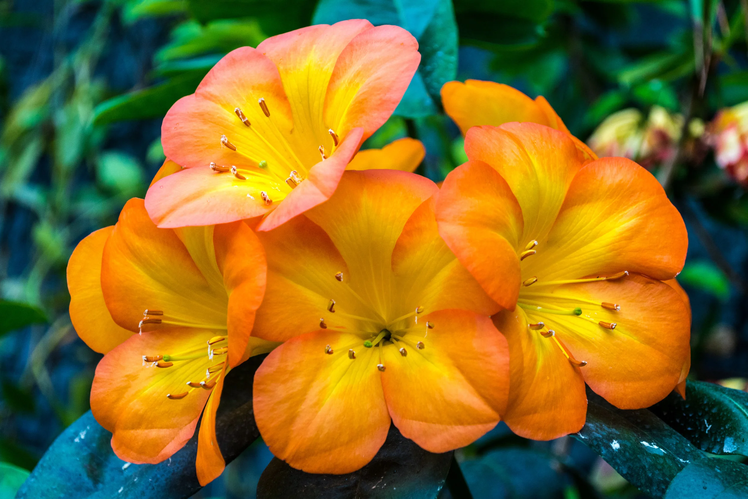 DSC_0847.jpg