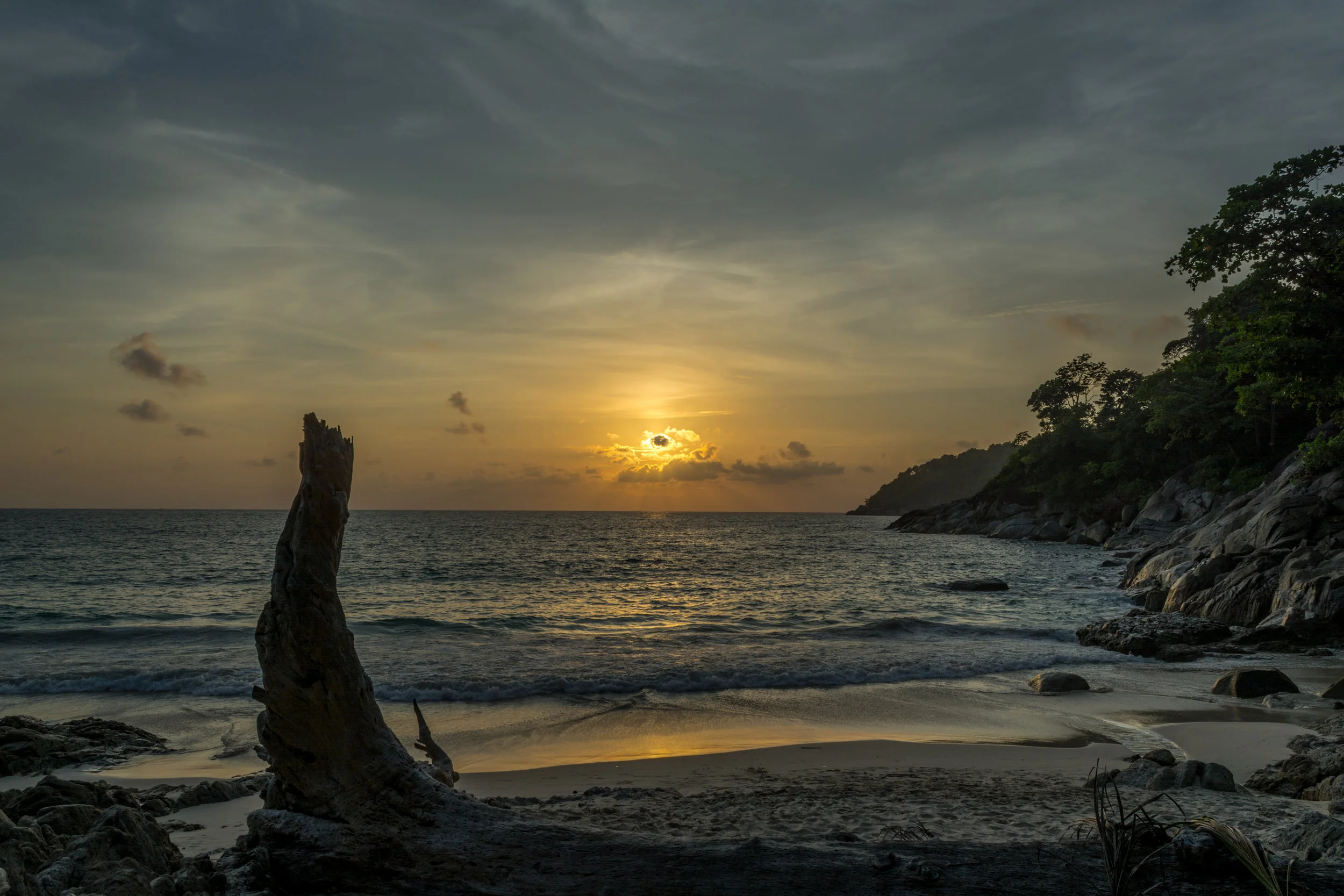 DSC_0977.jpg