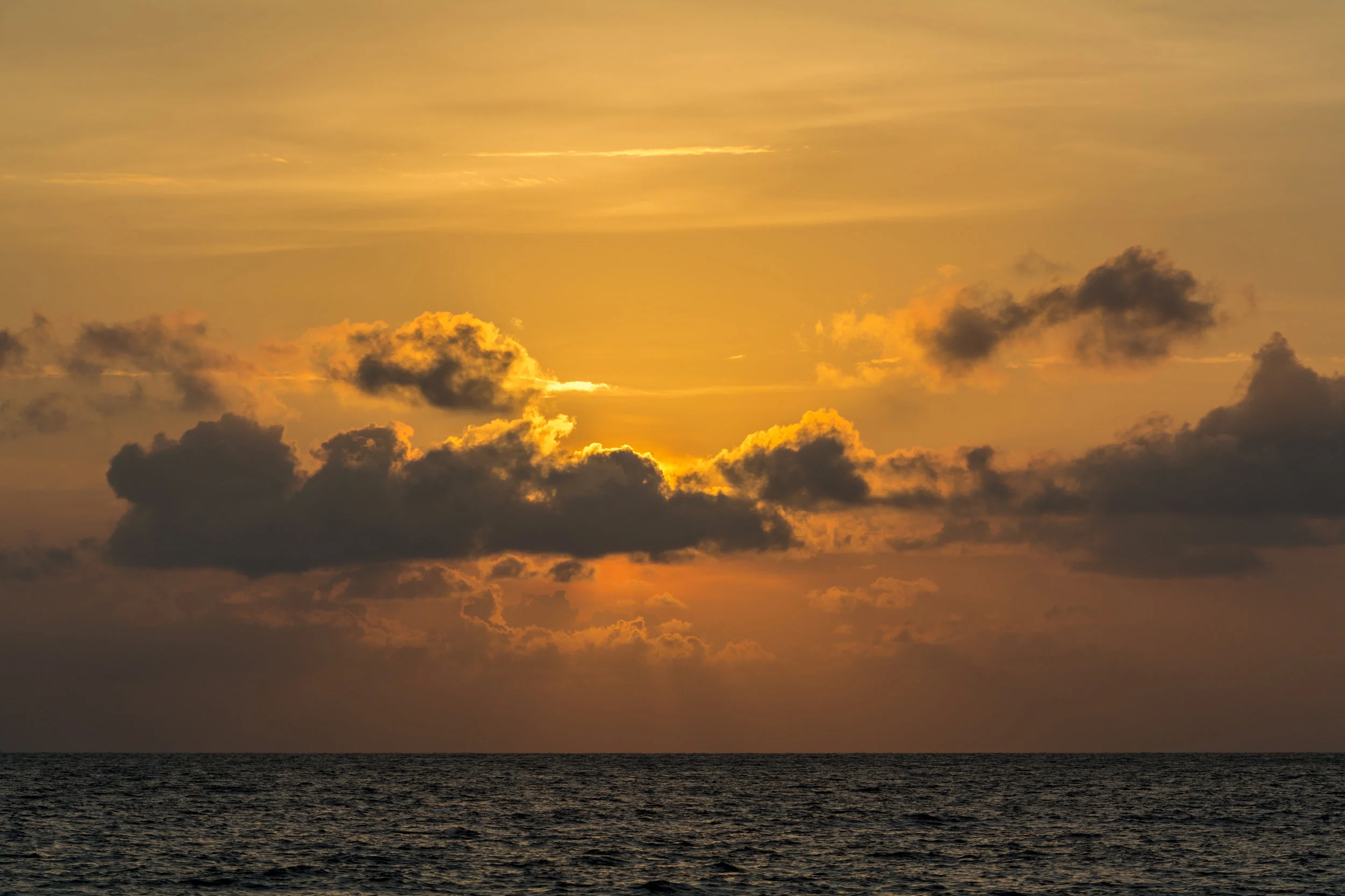 DSC_0992.jpg
