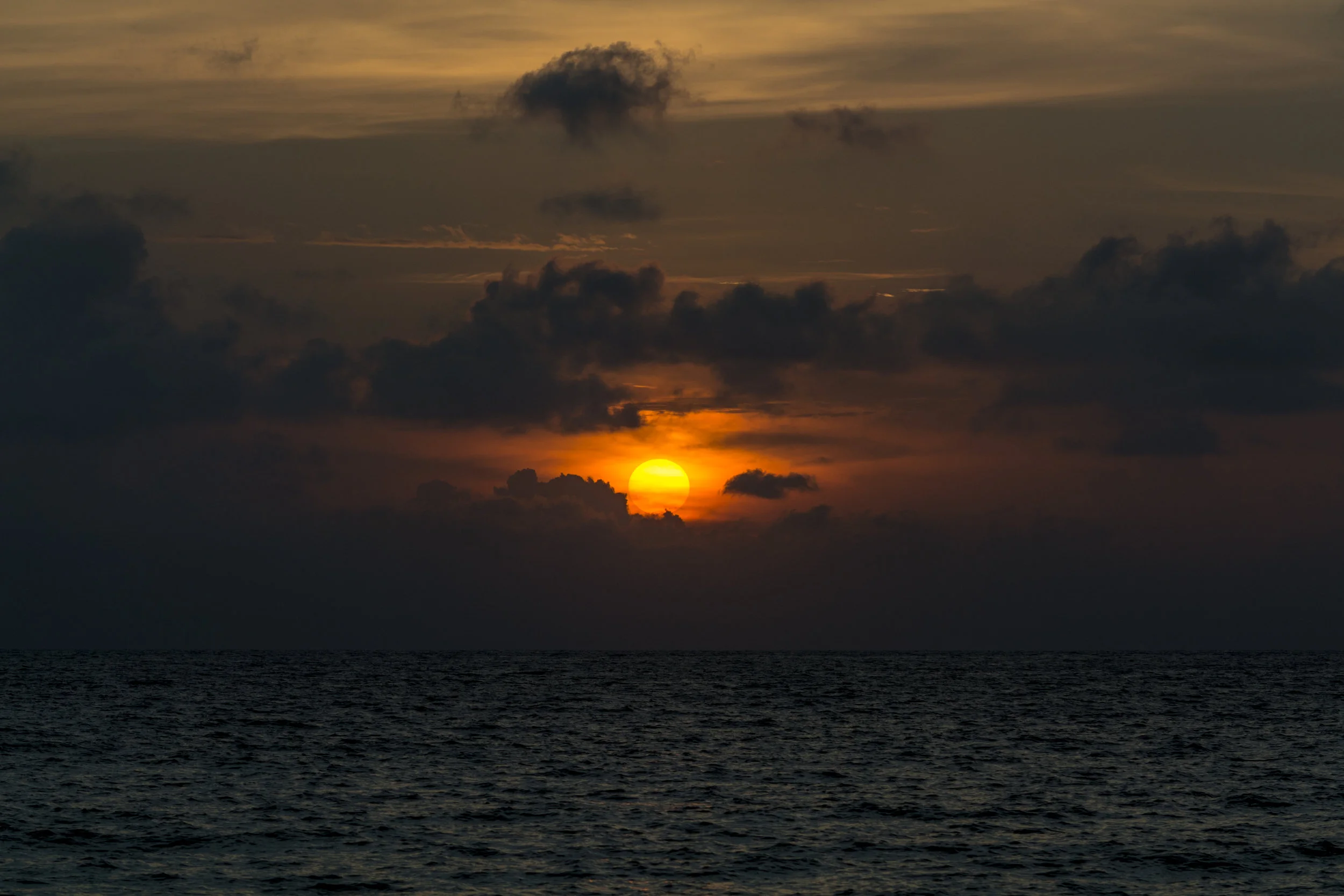 DSC_1005.jpg