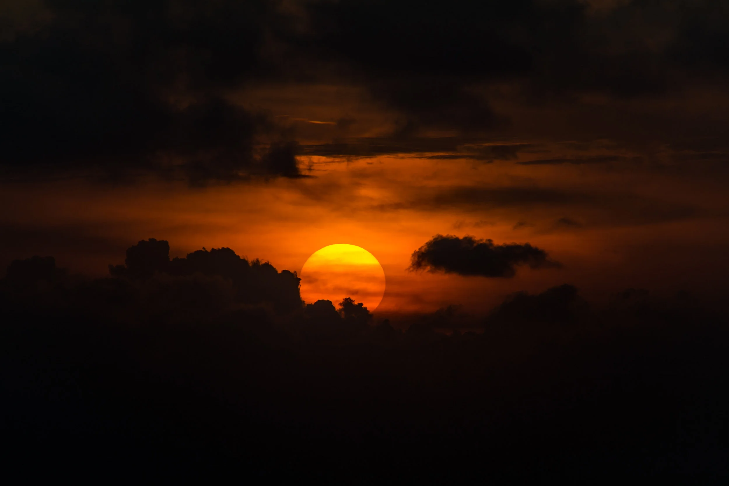 DSC_1008.jpg