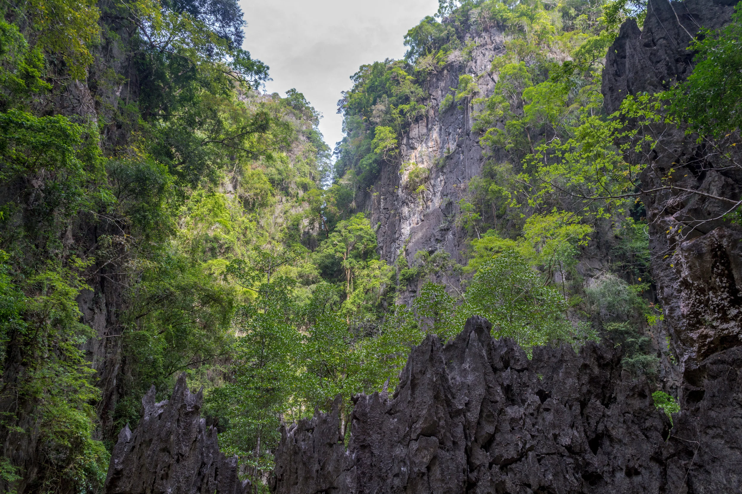 DSC_0112.jpg