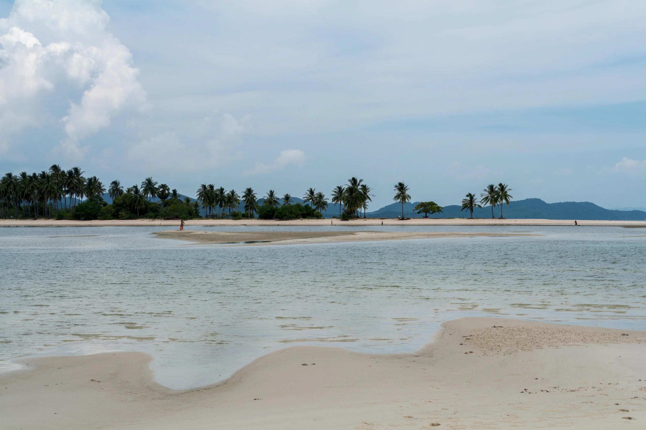 DSC_0405.jpg