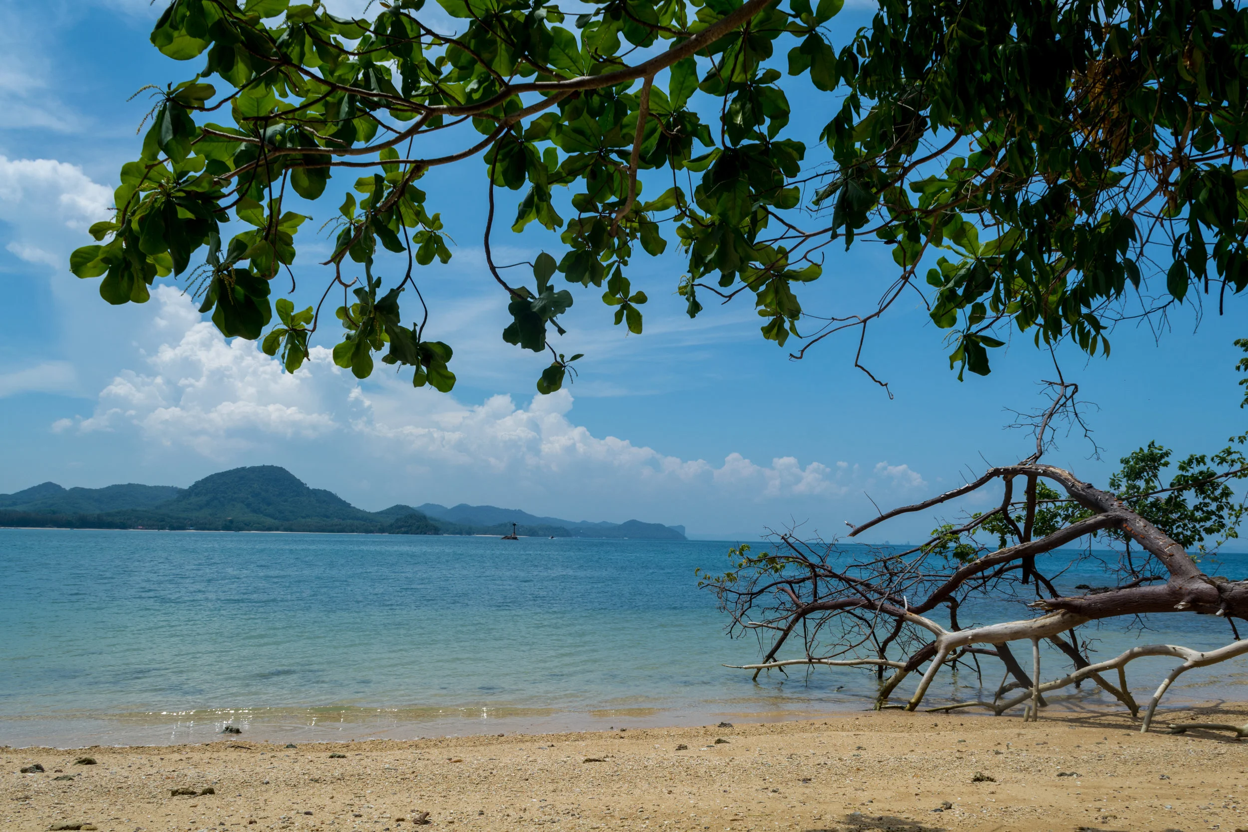 DSC_0430.jpg